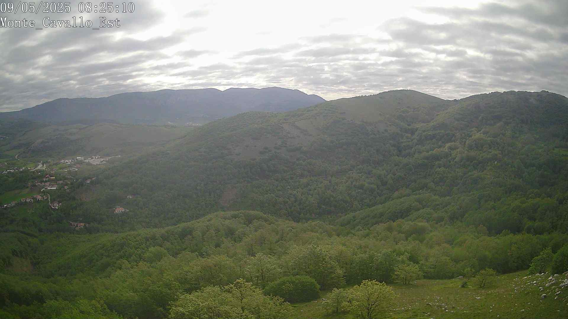 Immagine scattata il 09/05/2025 am31 08:25