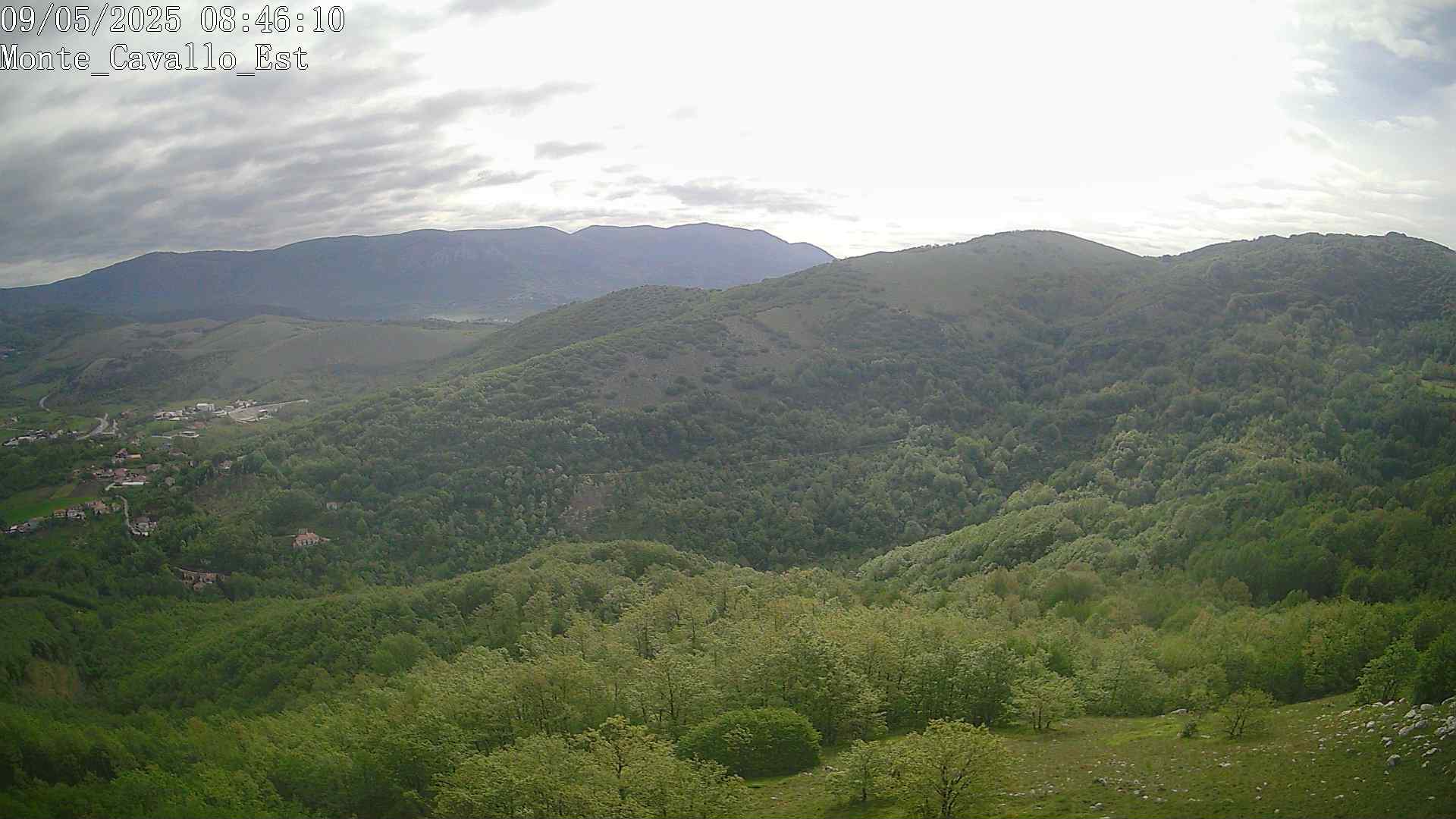 Immagine scattata il 09/05/2025 am31 08:46
