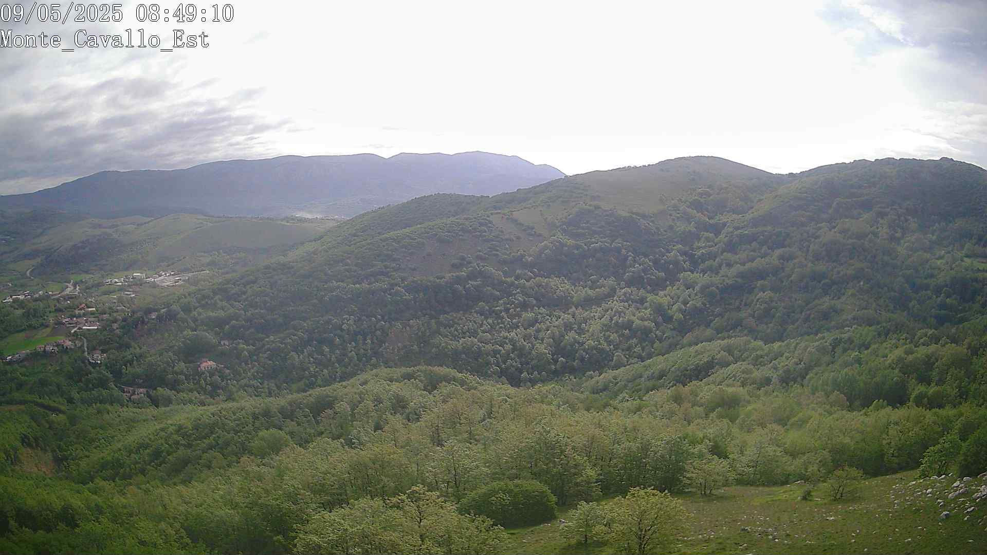 Immagine scattata il 09/05/2025 am31 08:49