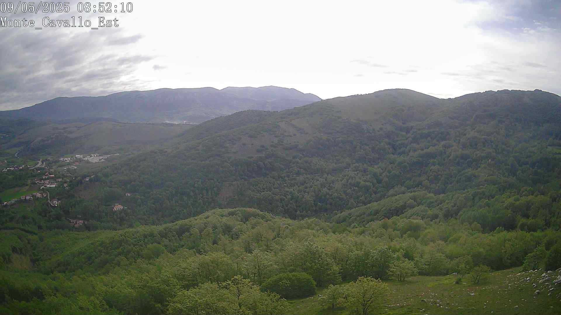 Immagine scattata il 09/05/2025 am31 08:52