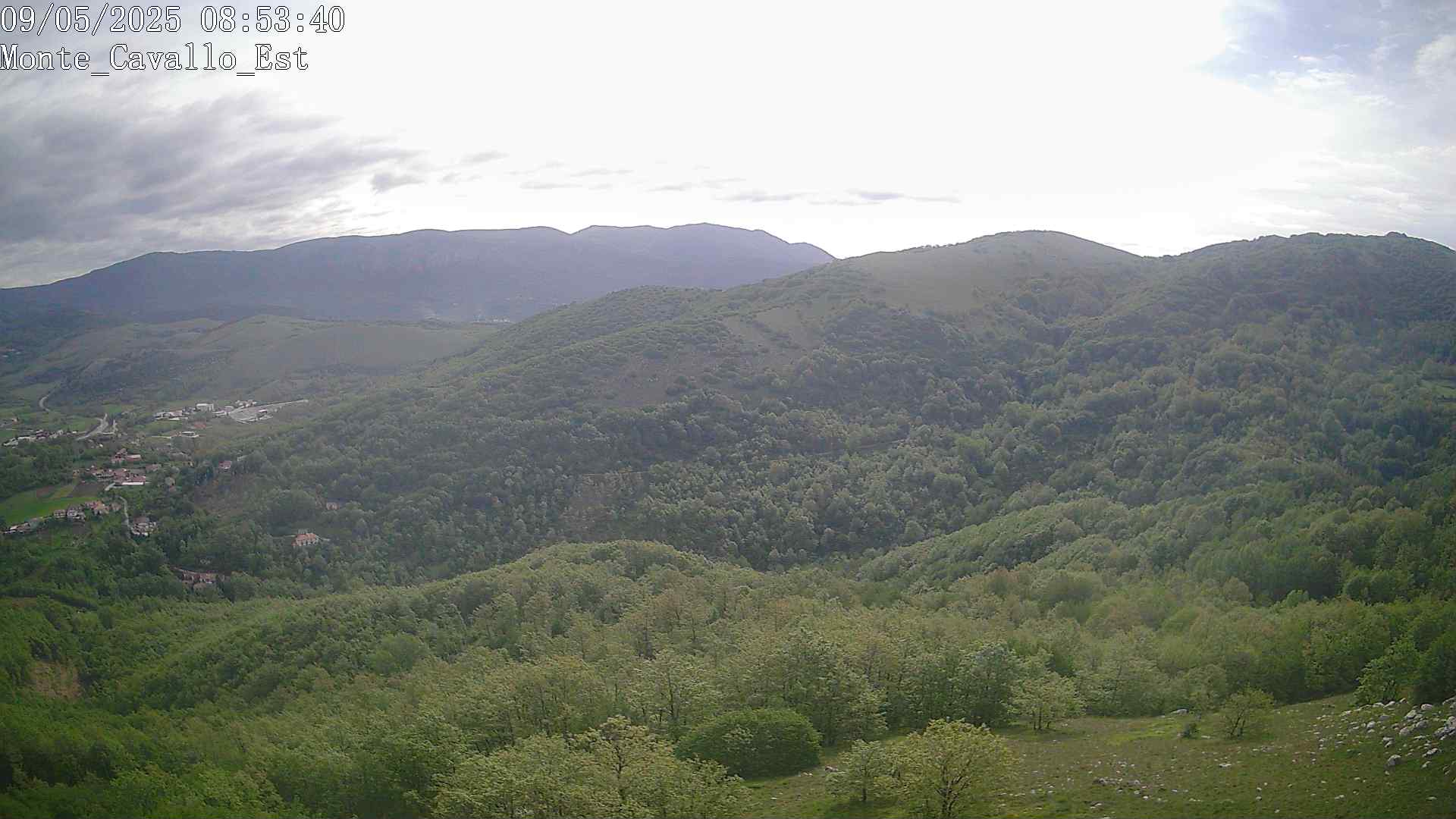 Immagine scattata il 09/05/2025 am31 08:53