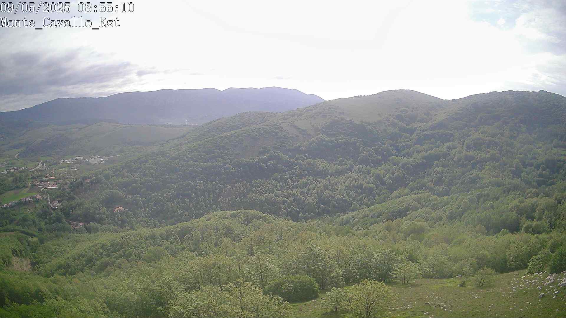Immagine scattata il 09/05/2025 am31 08:55