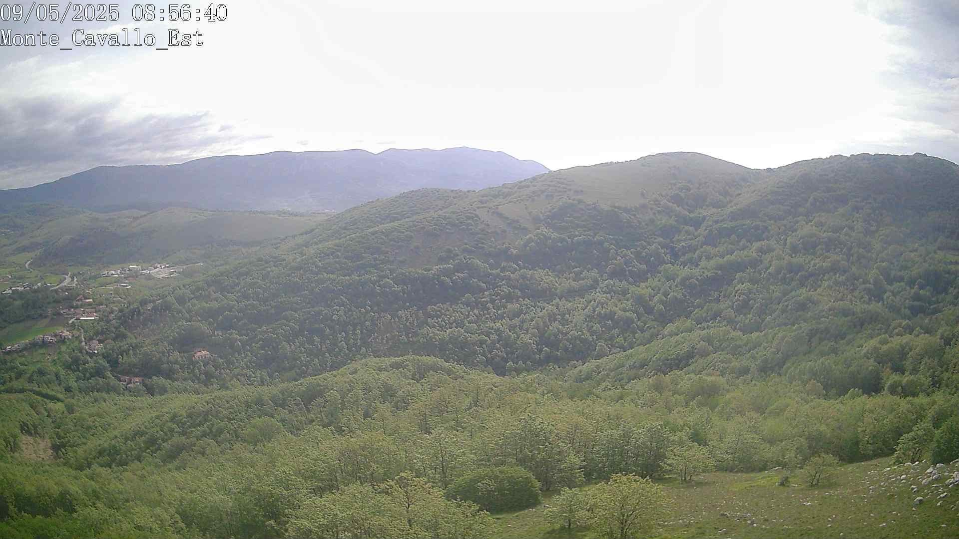 Immagine scattata il 09/05/2025 am31 08:56