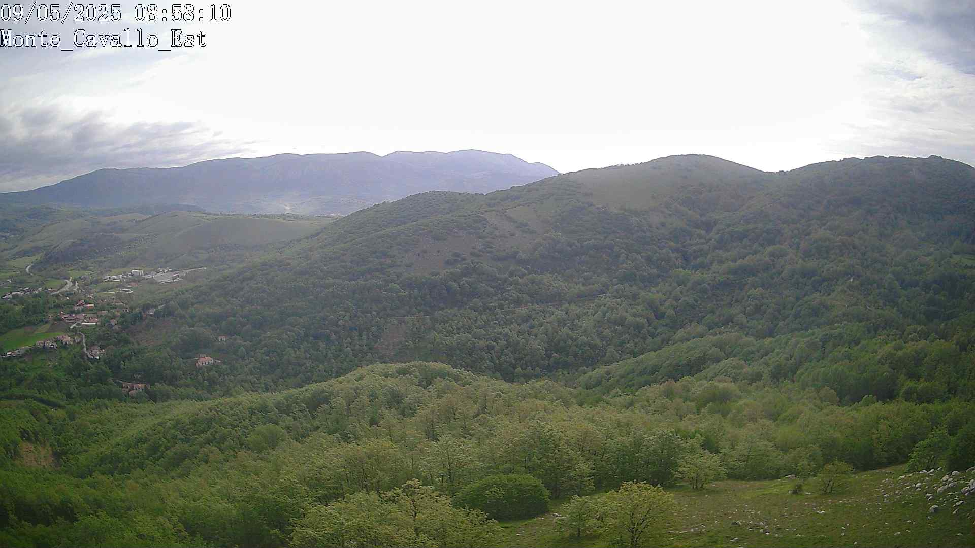 Immagine scattata il 09/05/2025 am31 08:58
