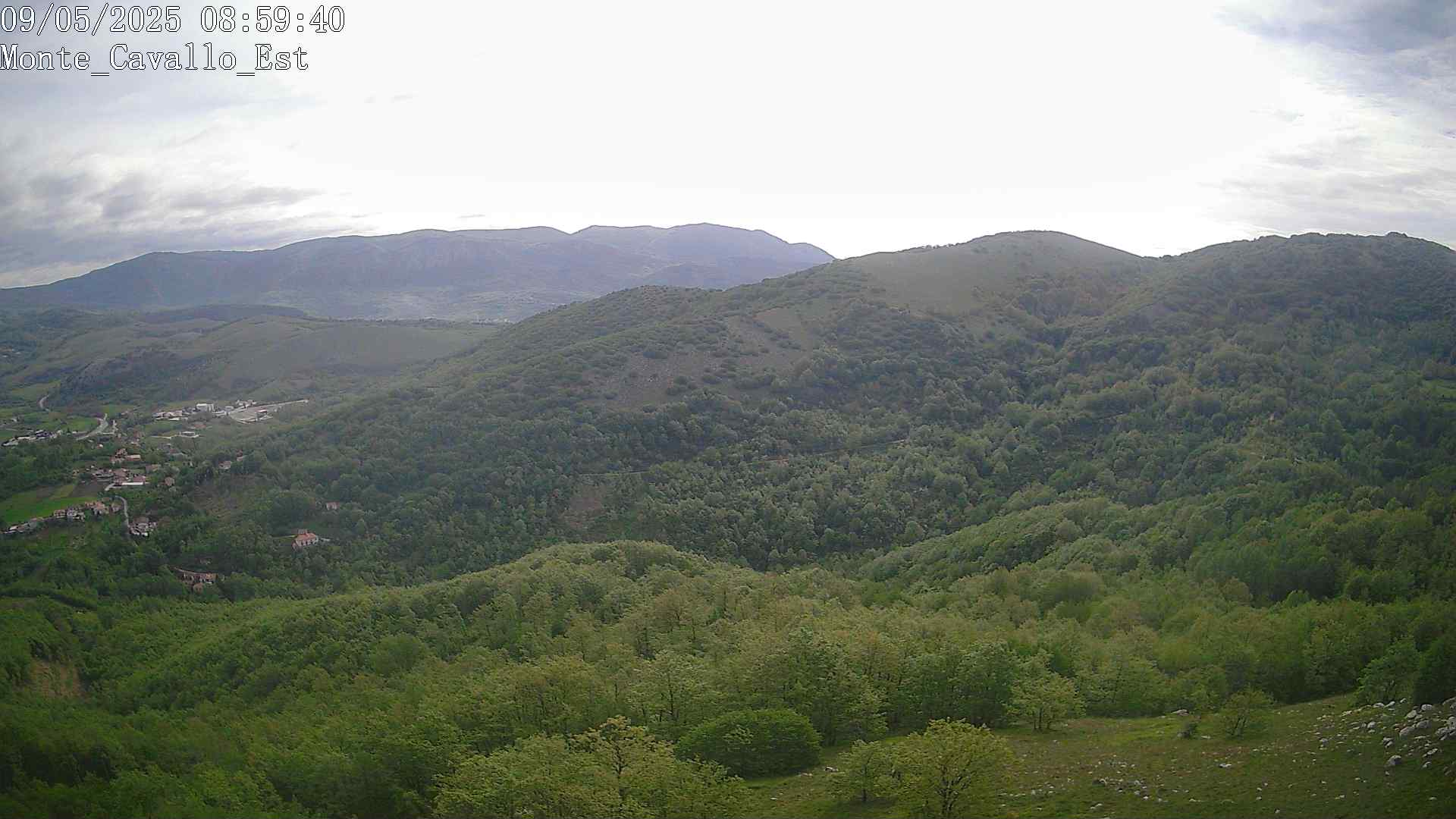 Immagine scattata il 09/05/2025 am31 08:59