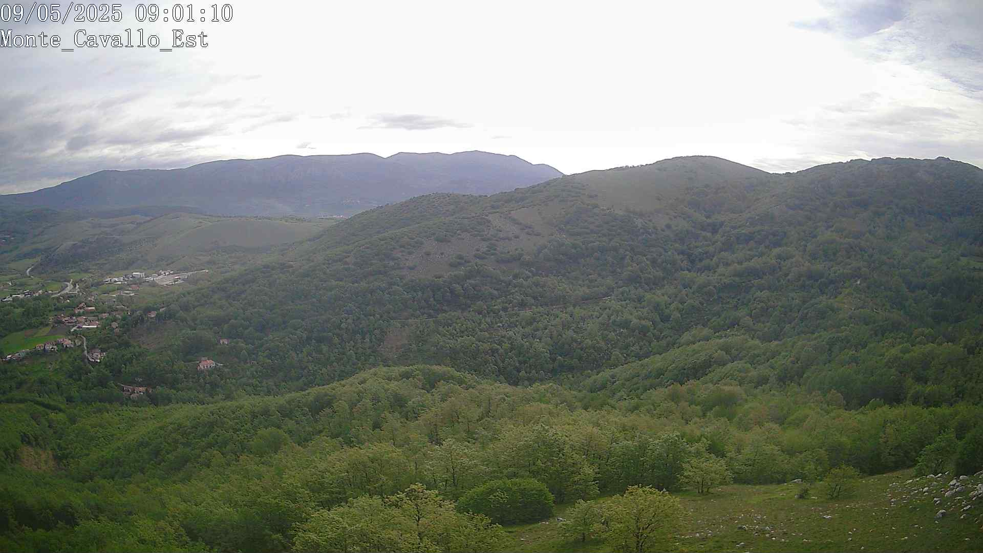 Immagine scattata il 09/05/2025 am31 09:01