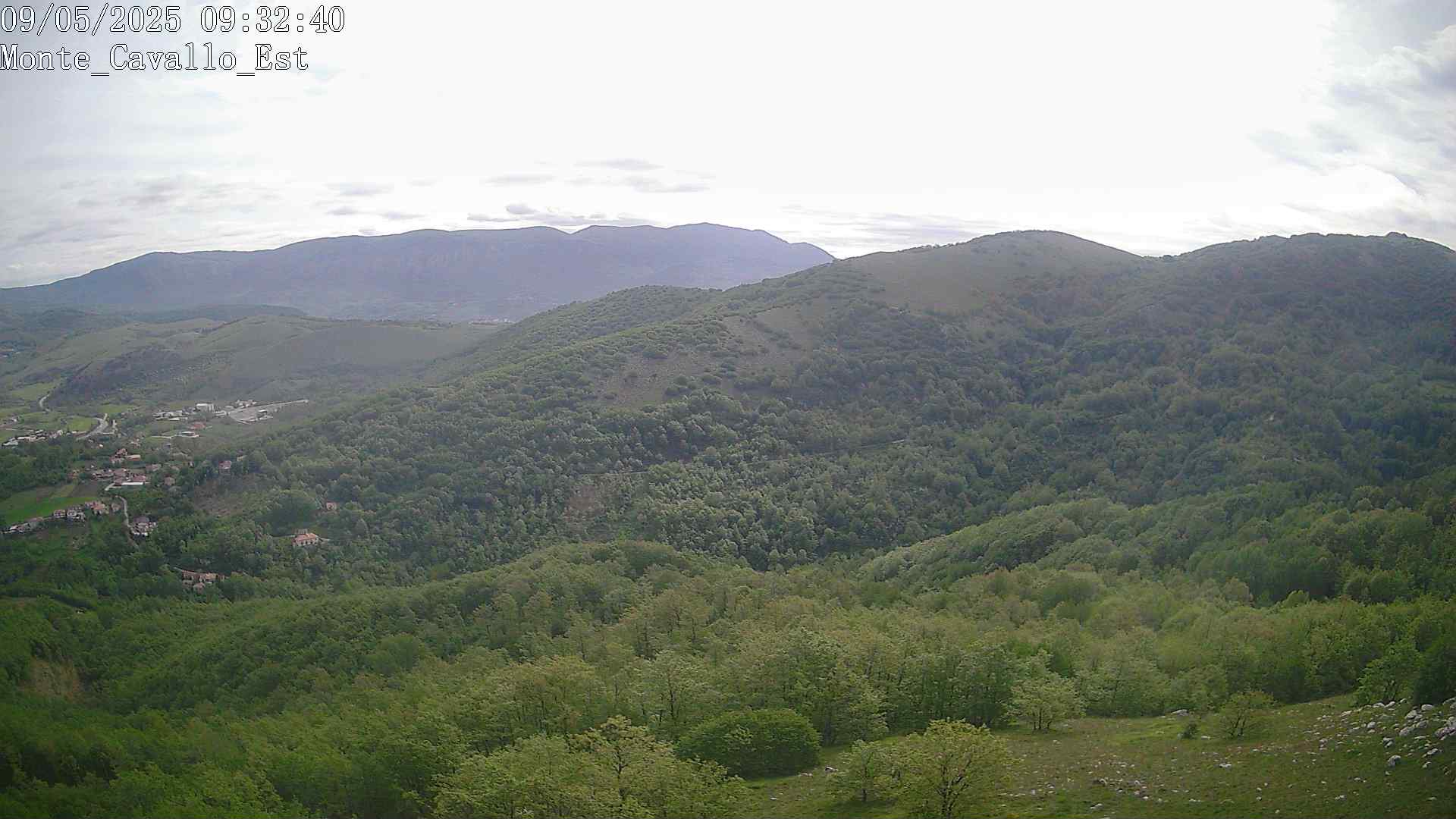 Immagine scattata il 09/05/2025 am31 09:32