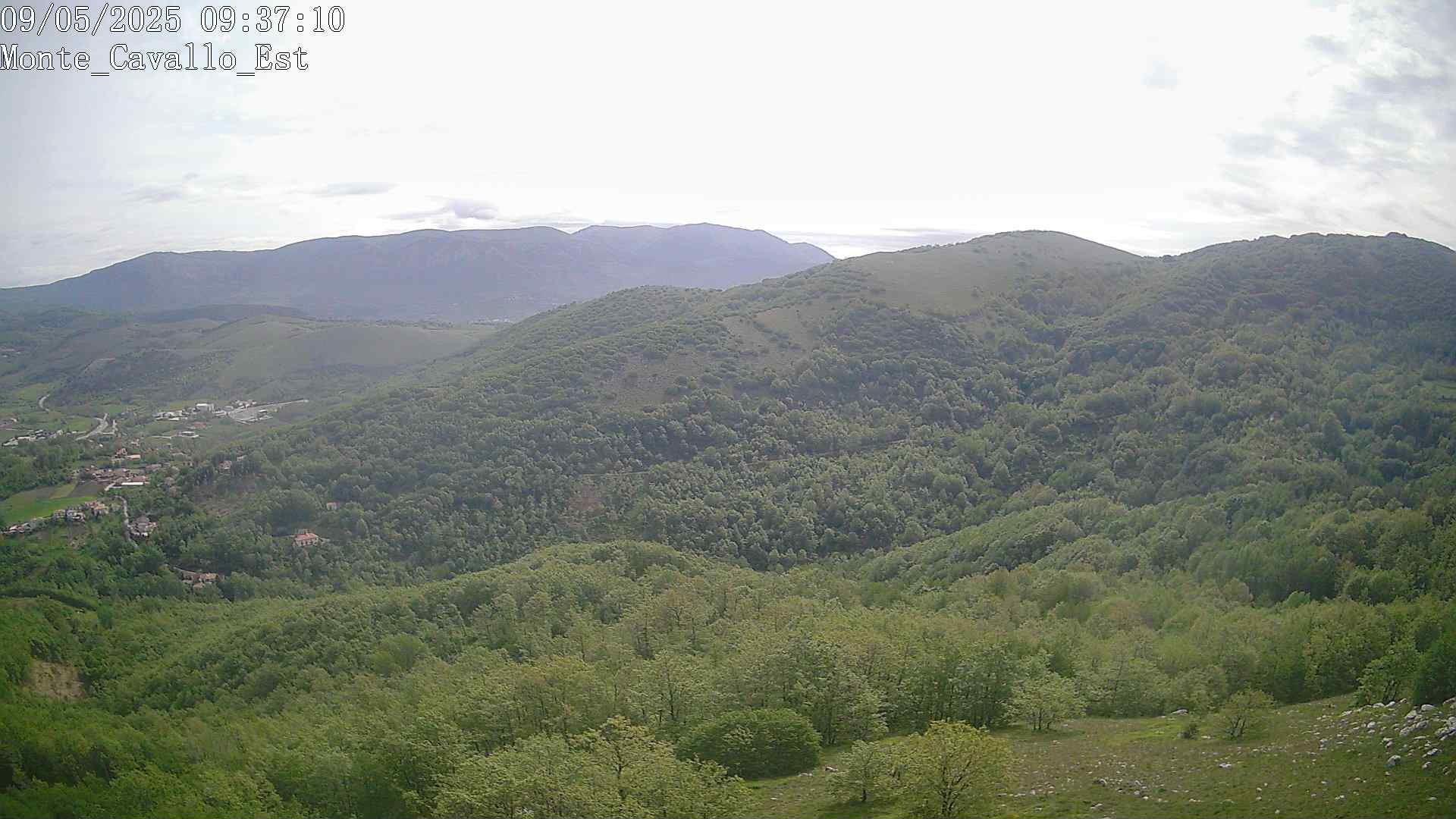 Immagine scattata il 09/05/2025 am31 09:37