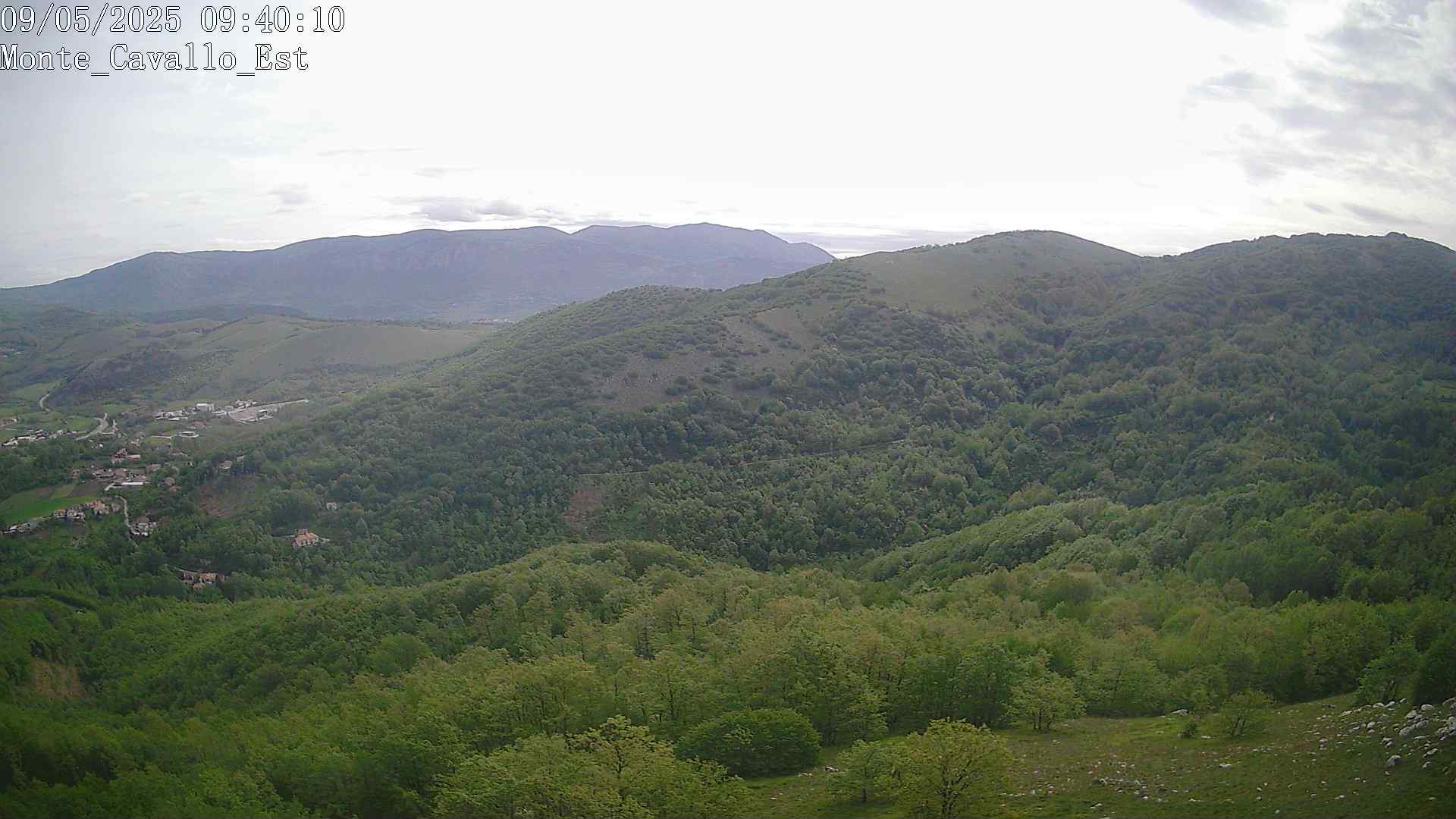 Immagine scattata il 09/05/2025 am31 09:40