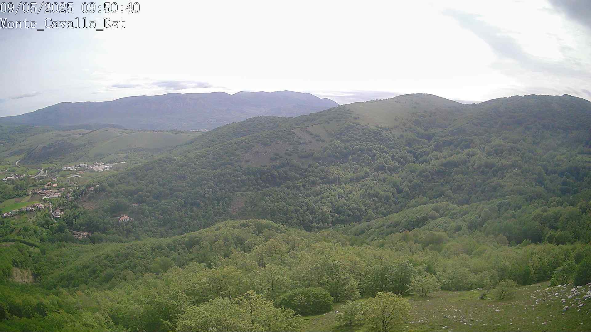 Immagine scattata il 09/05/2025 am31 09:50