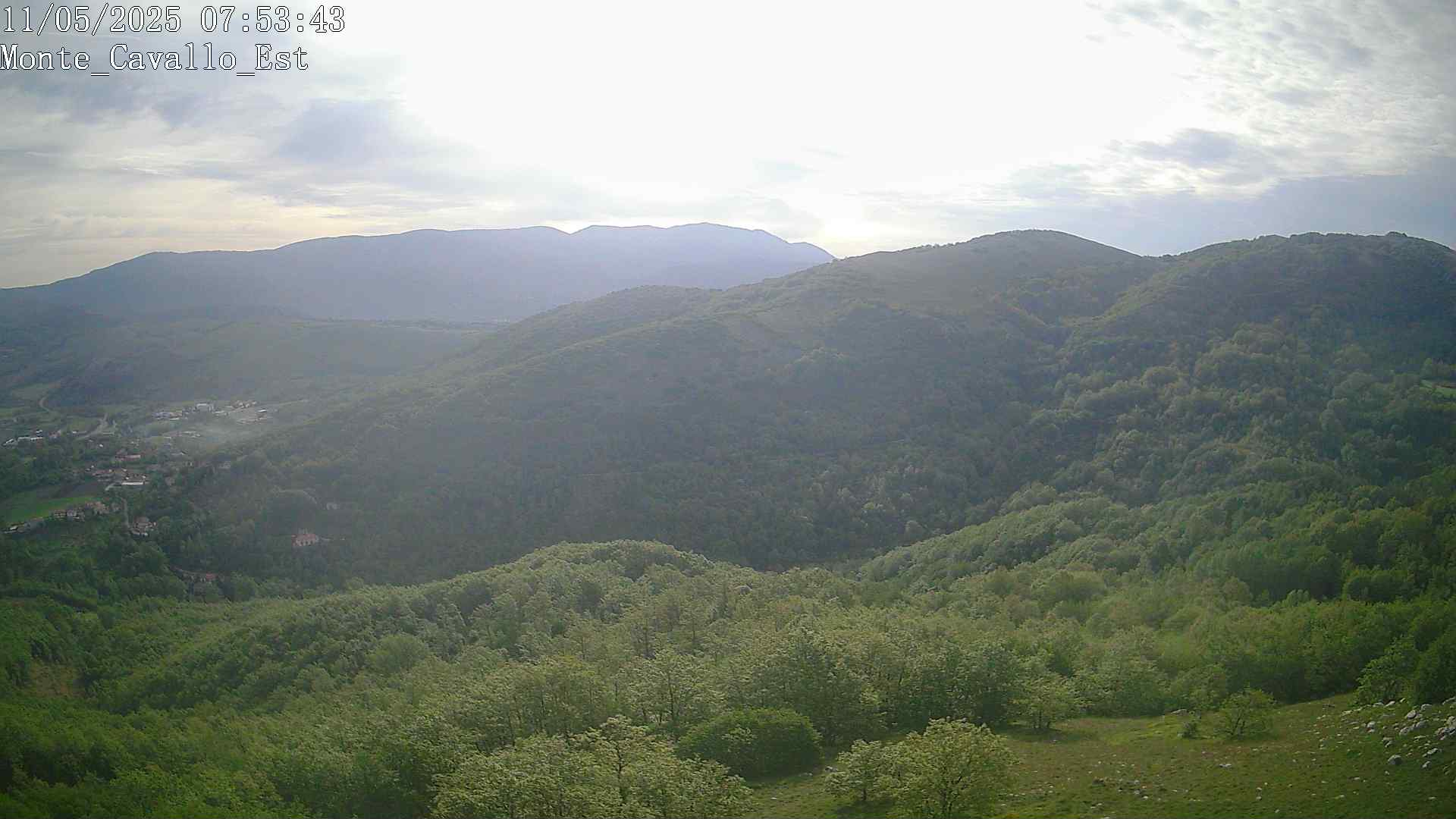 Immagine scattata il 11/05/2025 am31 07:53