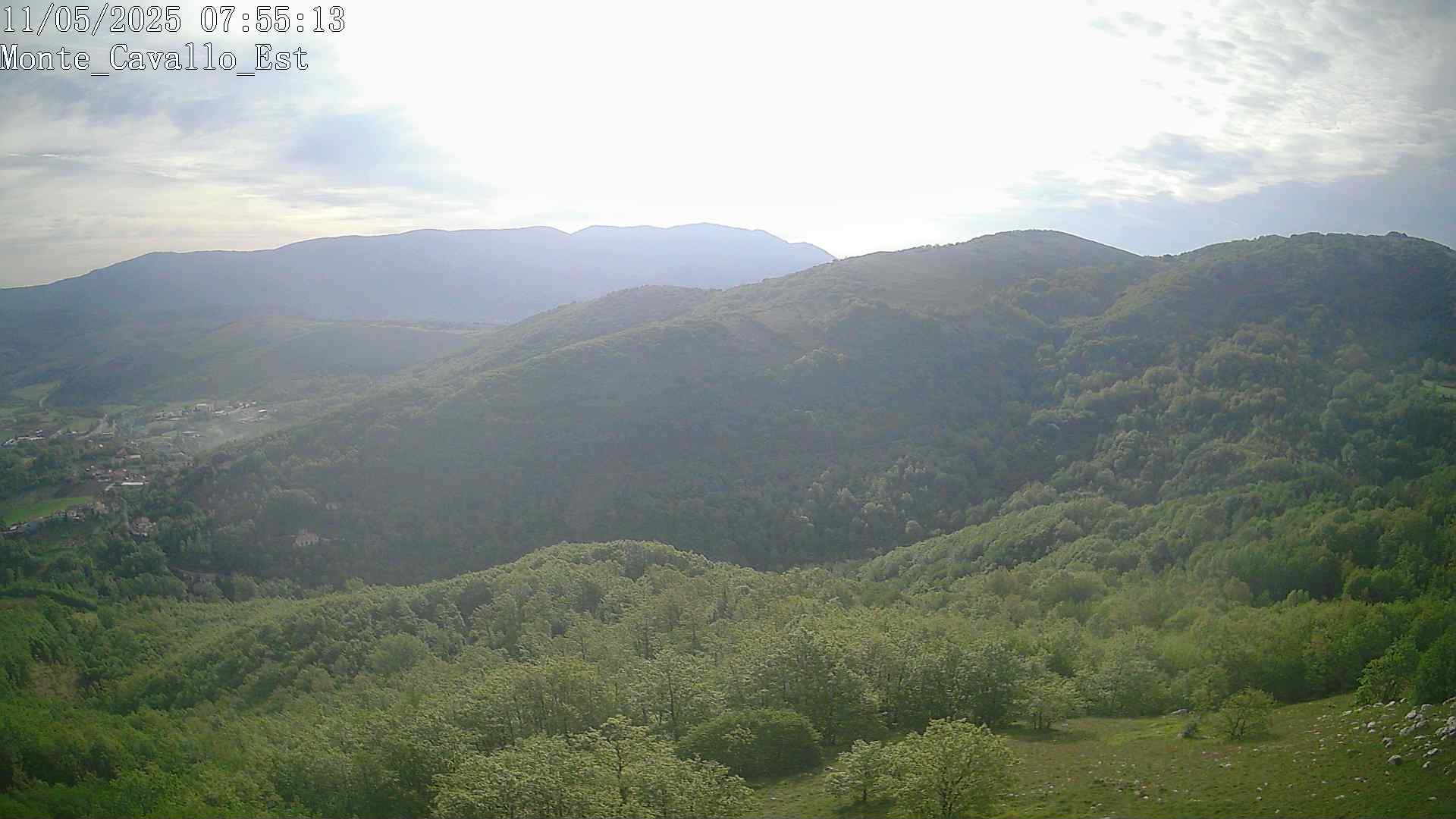 Immagine scattata il 11/05/2025 am31 07:55