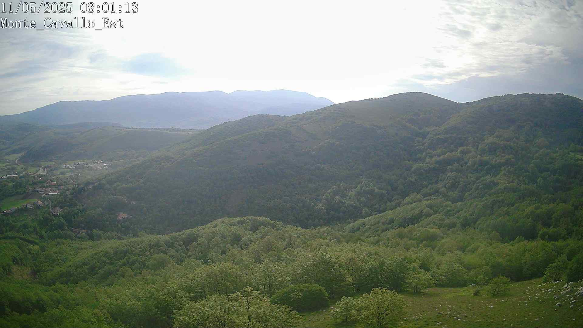 Immagine scattata il 11/05/2025 am31 08:01