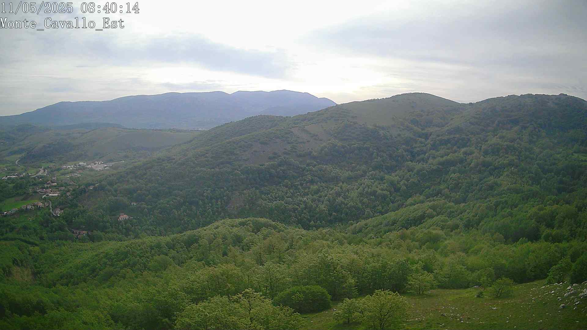 Immagine scattata il 11/05/2025 am31 08:40