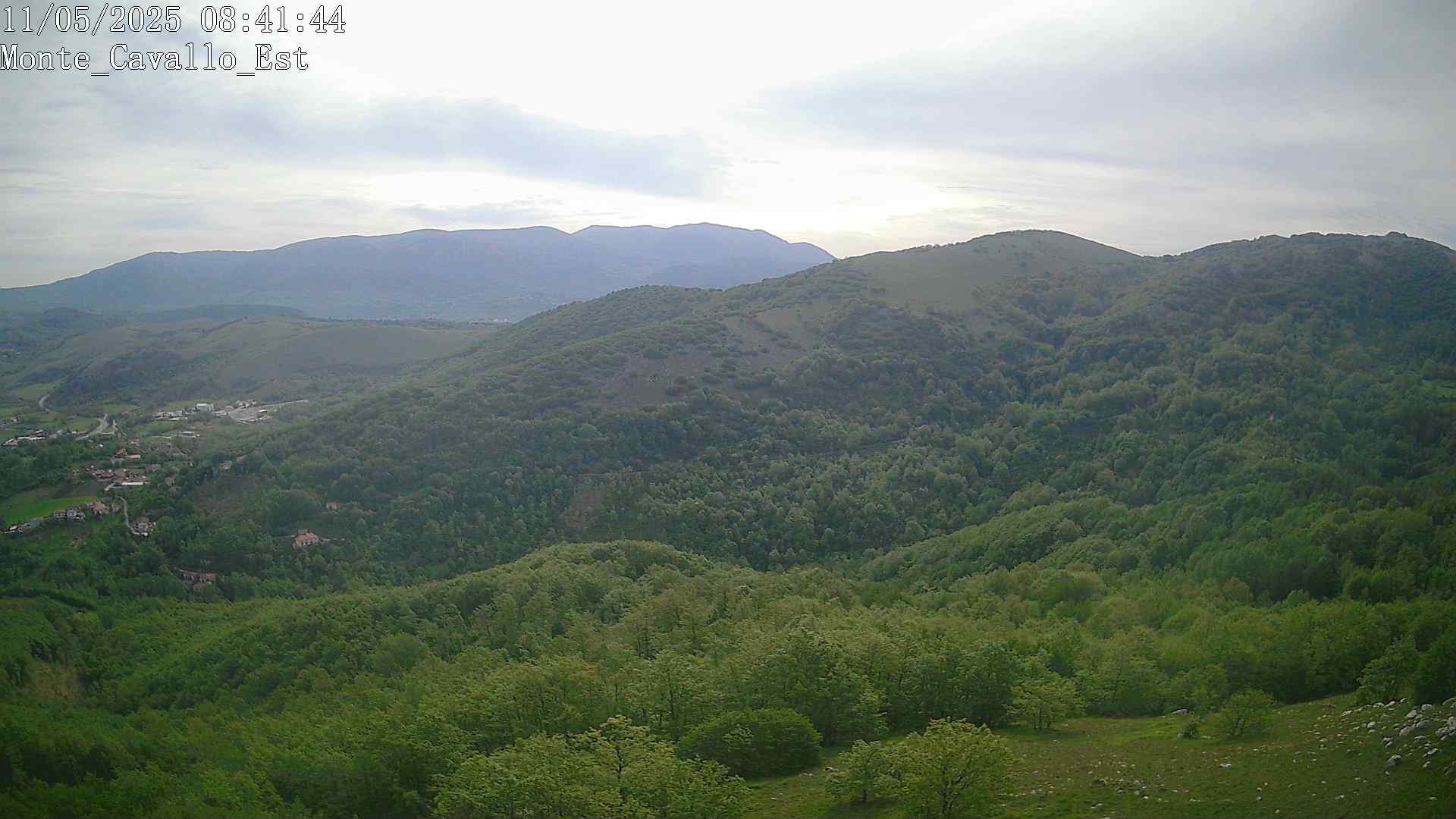 Immagine scattata il 11/05/2025 am31 08:41