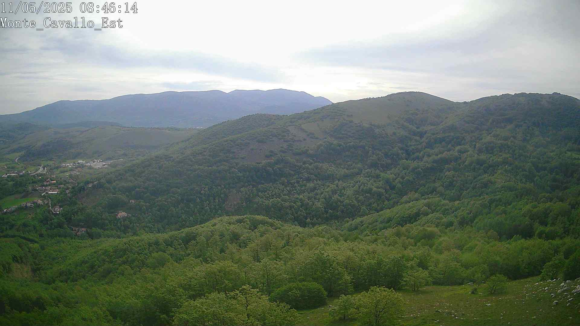 Immagine scattata il 11/05/2025 am31 08:46