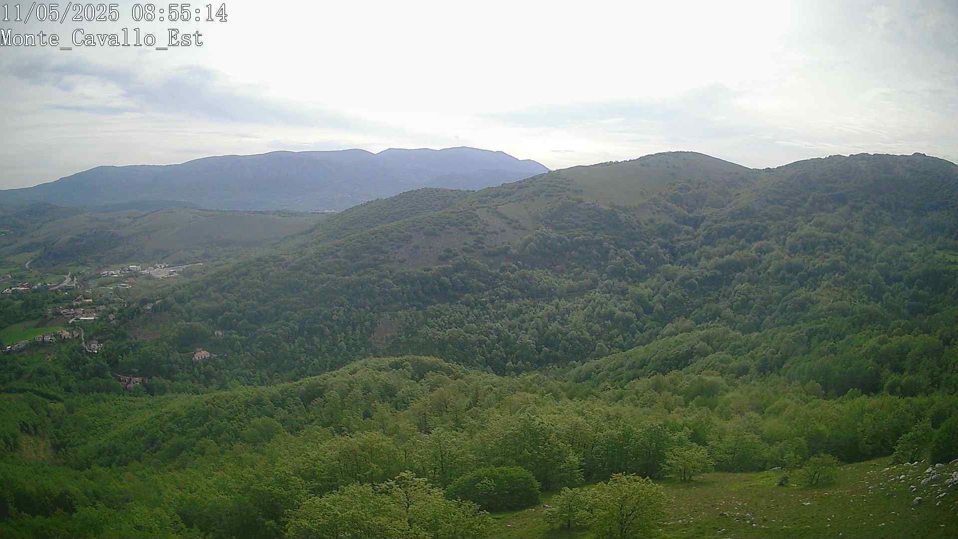 Immagine scattata il 11/05/2025 am31 08:55