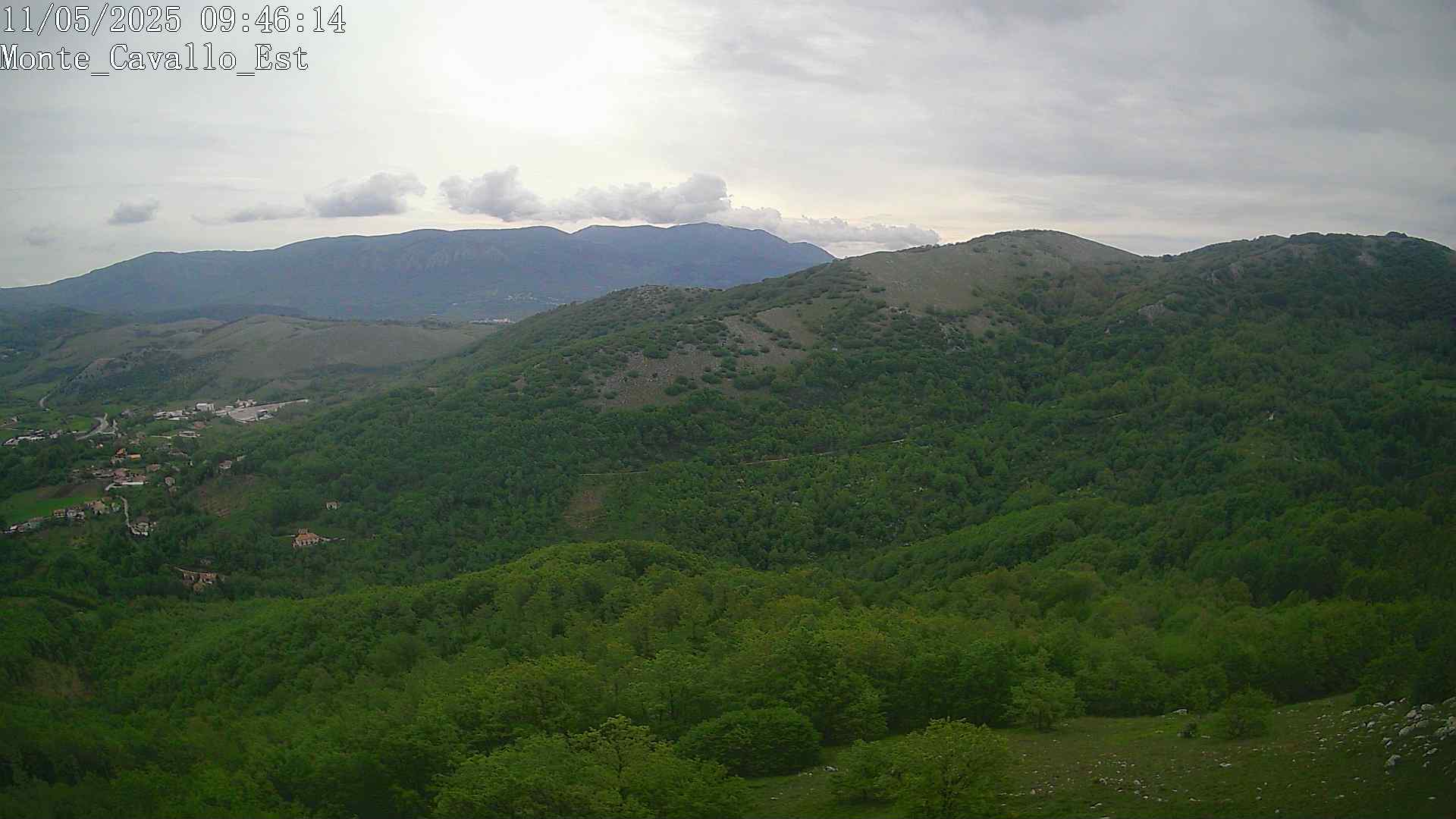 Immagine scattata il 11/05/2025 am31 09:46