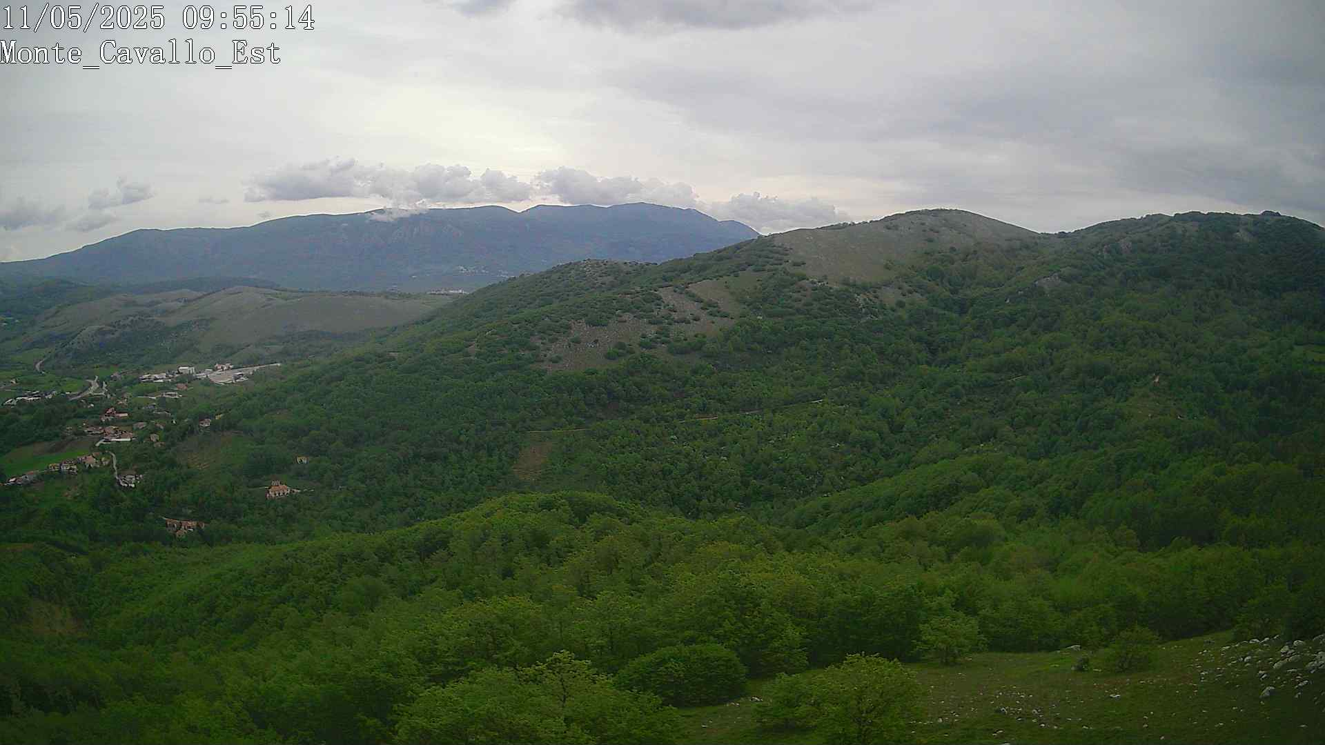 Immagine scattata il 11/05/2025 am31 09:55
