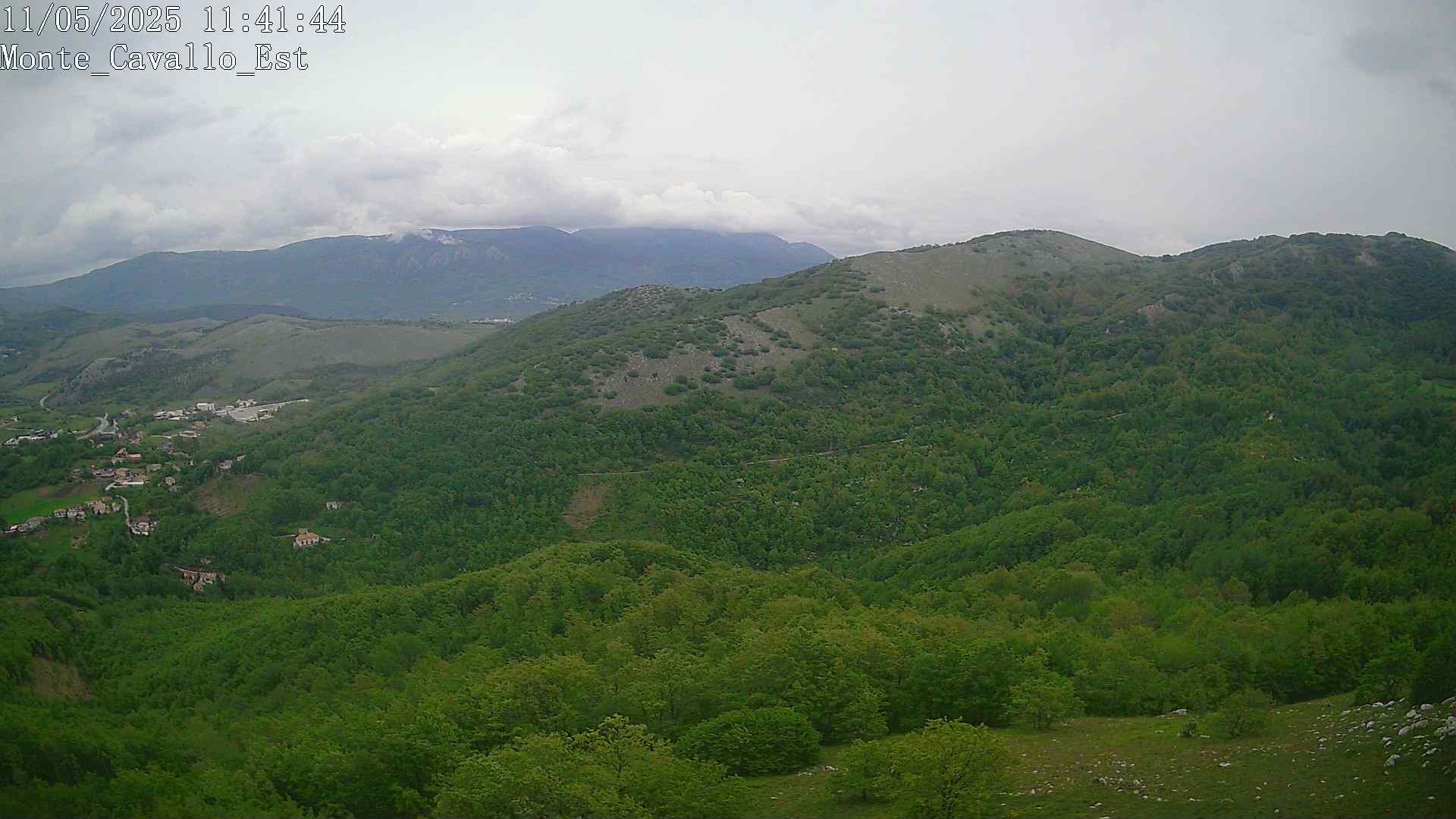 Immagine scattata il 11/05/2025 am31 11:41