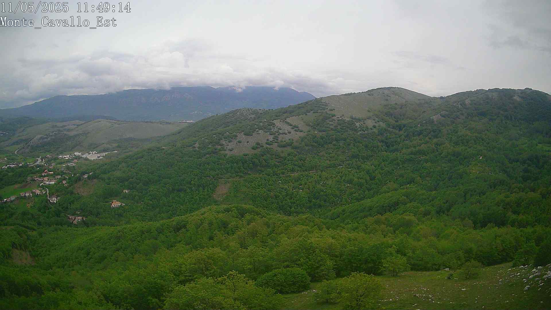 Immagine scattata il 11/05/2025 am31 11:49