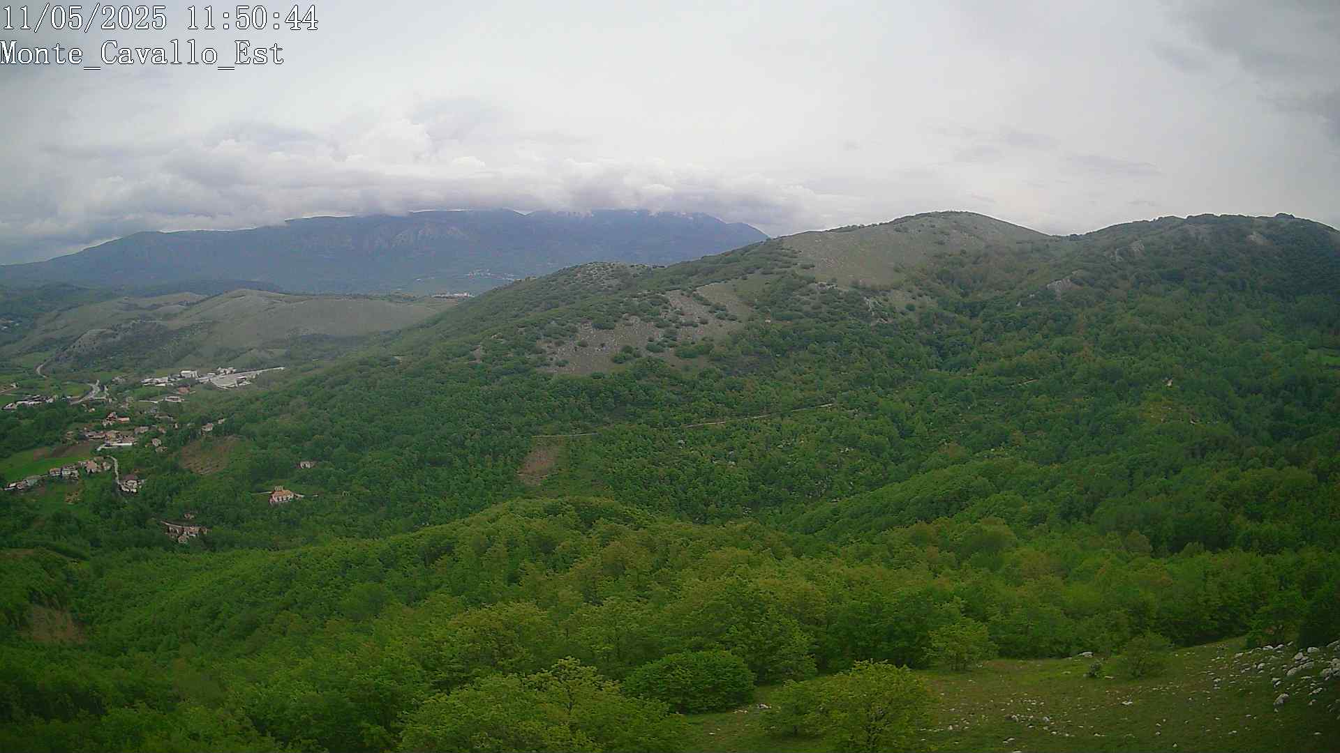 Immagine scattata il 11/05/2025 am31 11:50