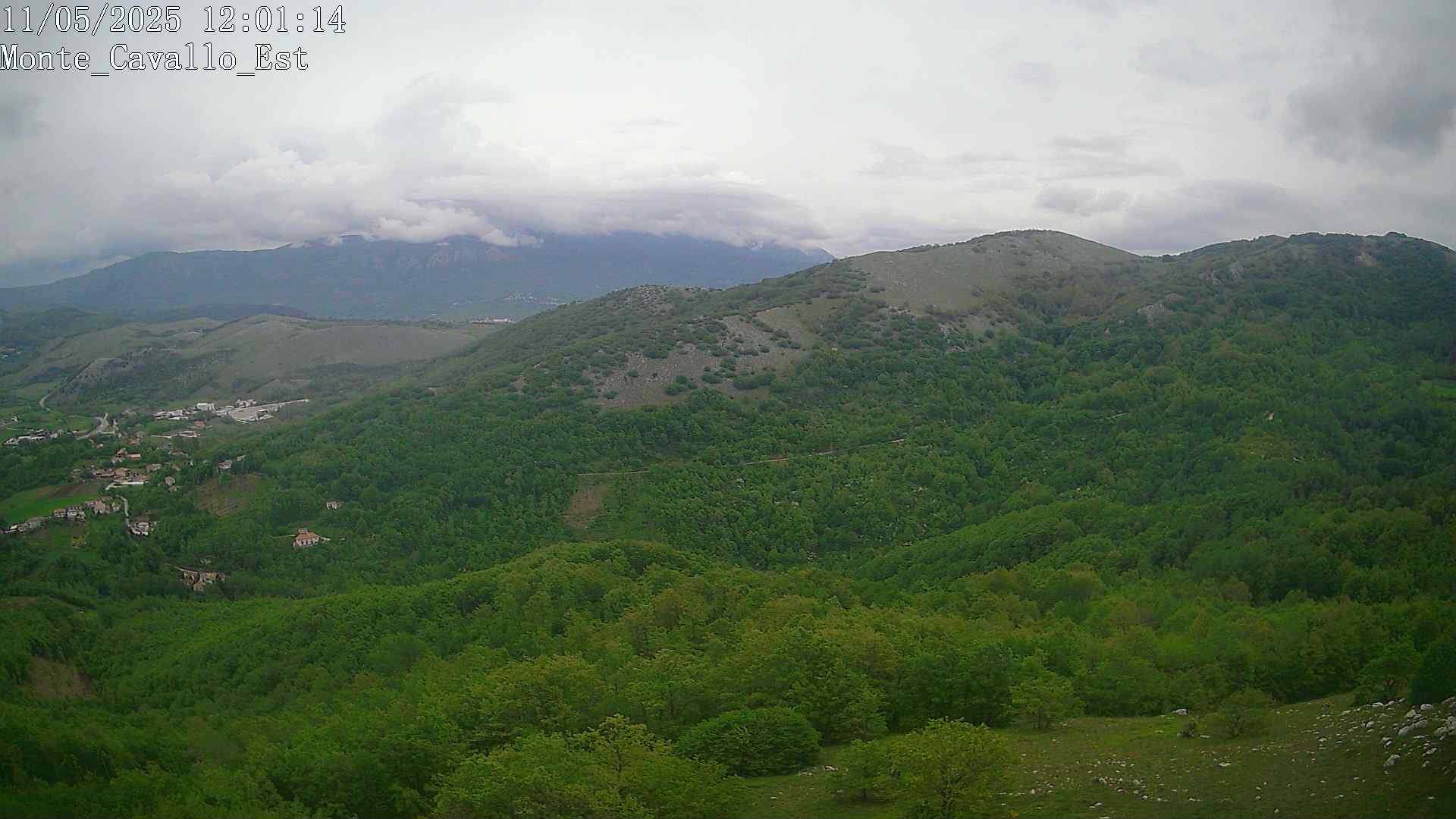 Immagine scattata il 11/05/2025 pm31 12:01