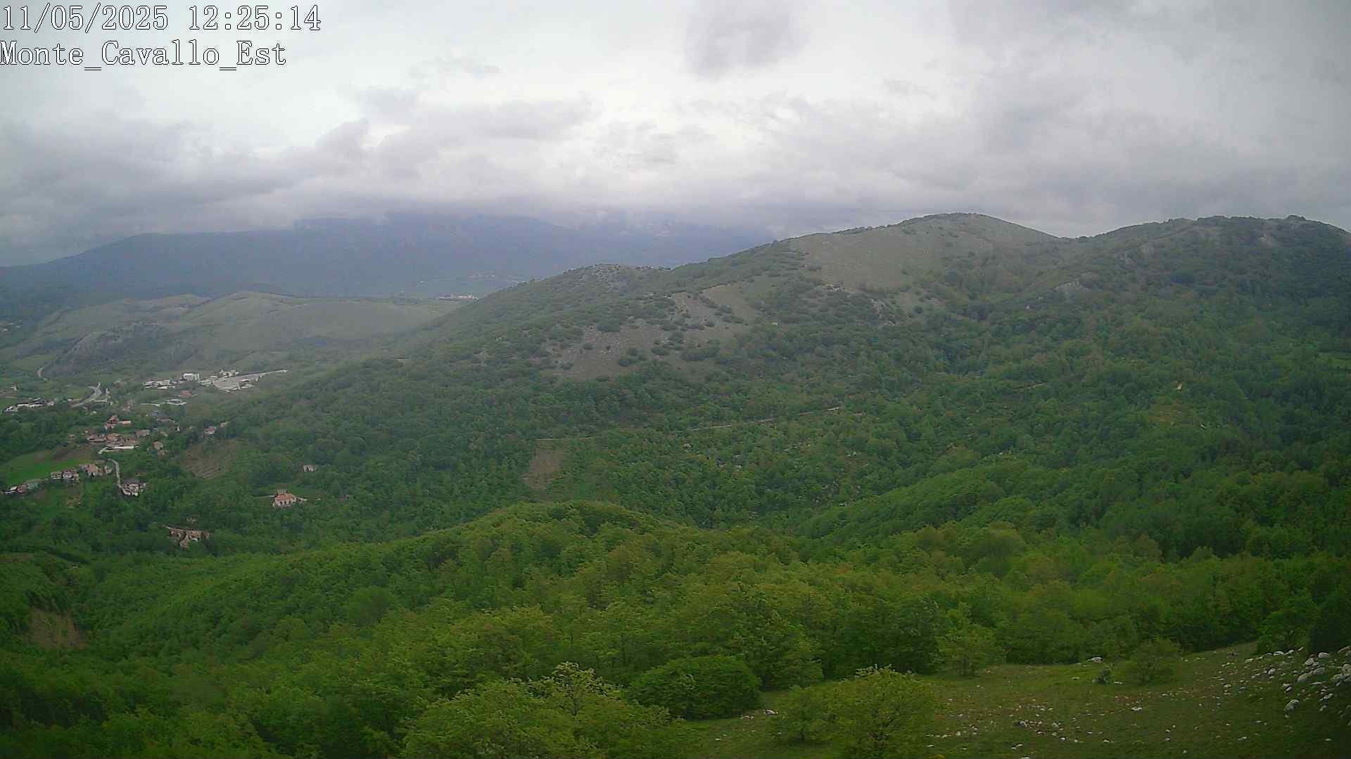 Immagine scattata il 11/05/2025 pm31 12:25