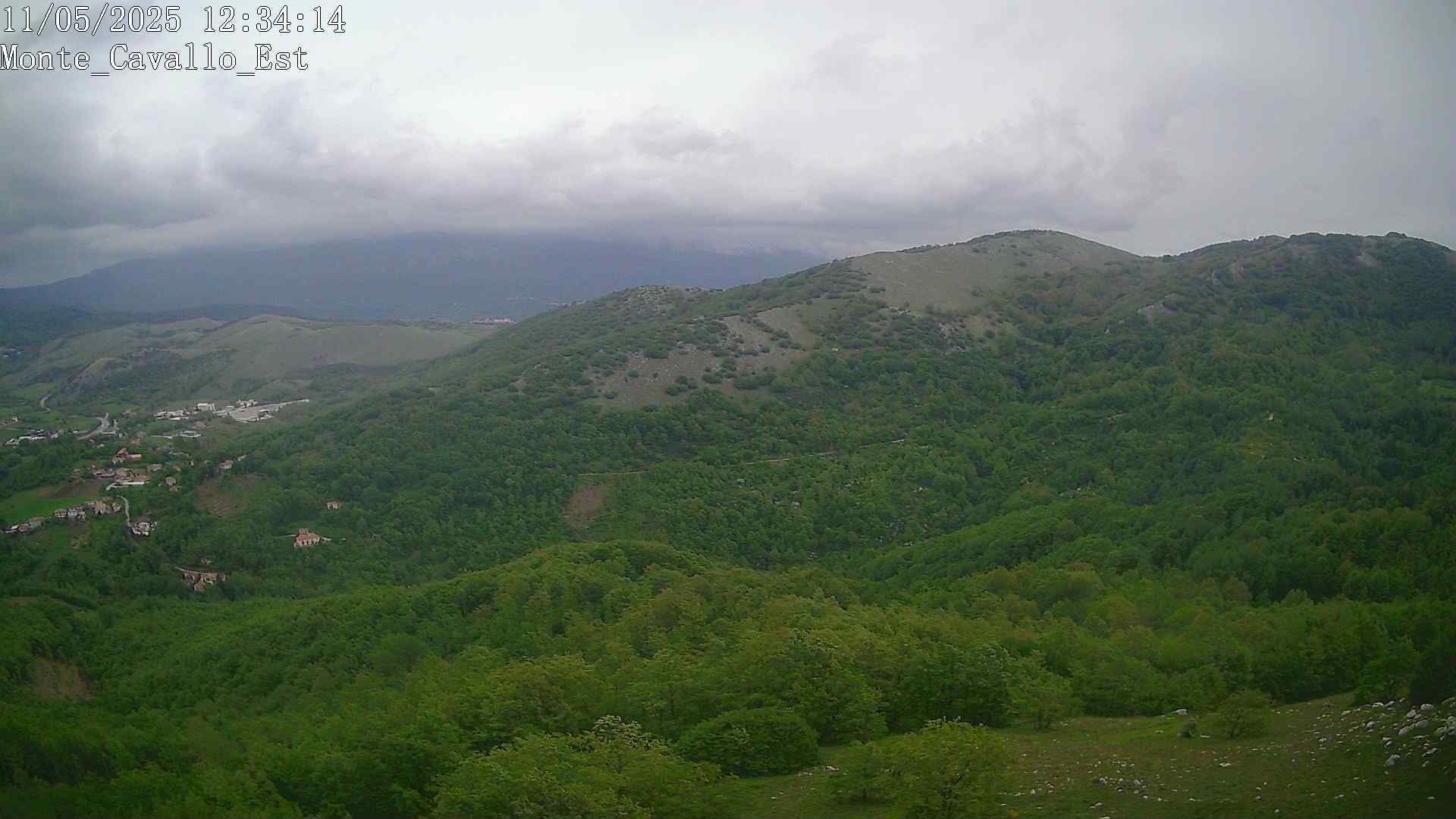 Immagine scattata il 11/05/2025 pm31 12:34
