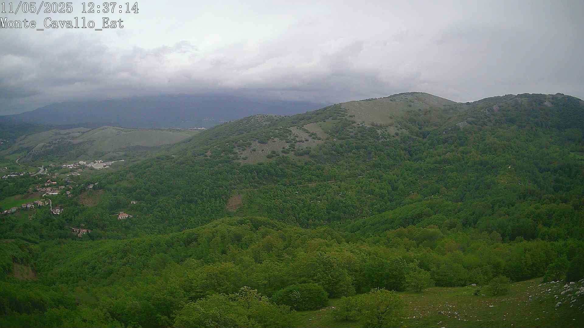 Immagine scattata il 11/05/2025 pm31 12:37