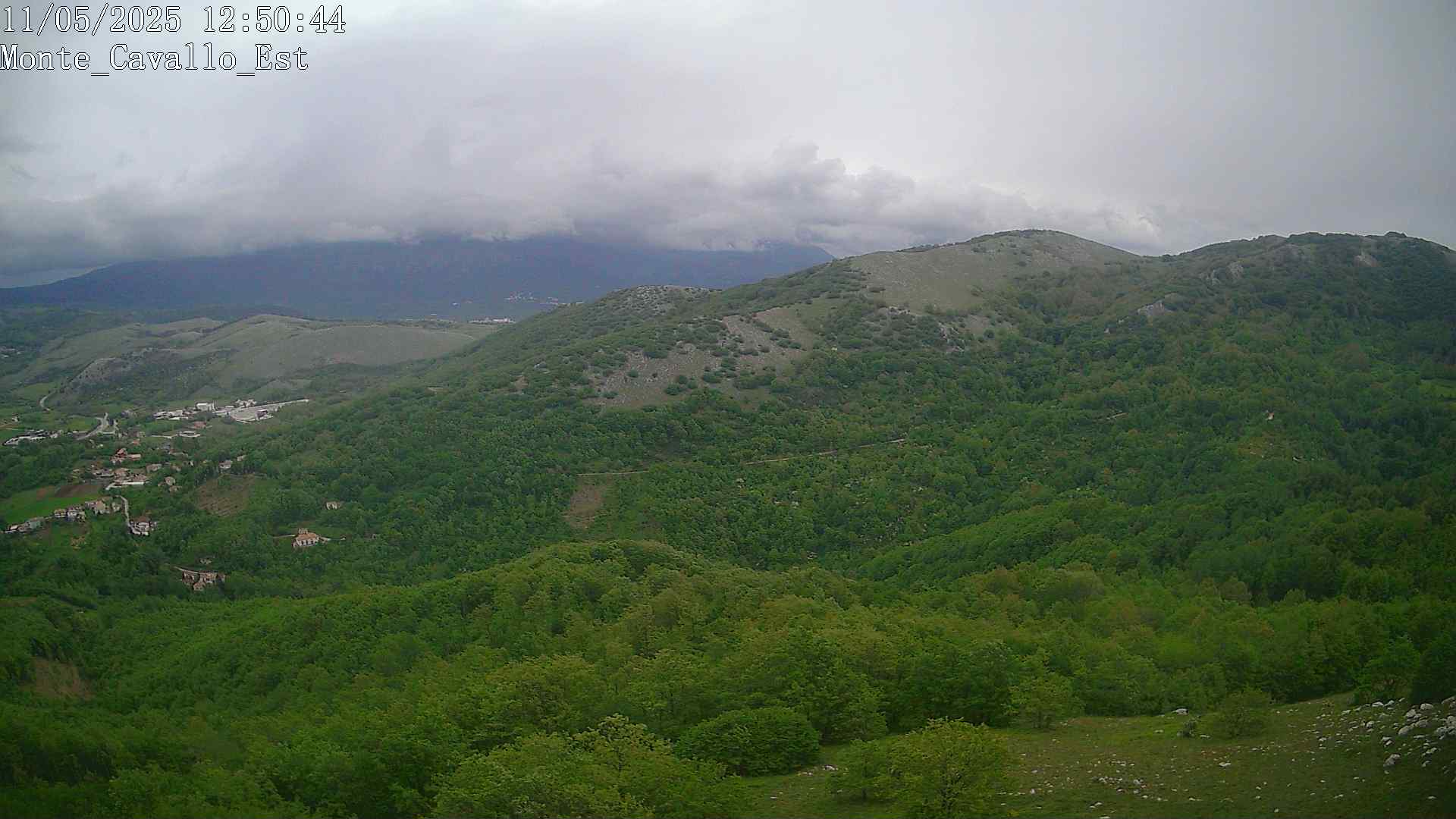 Immagine scattata il 11/05/2025 pm31 12:50