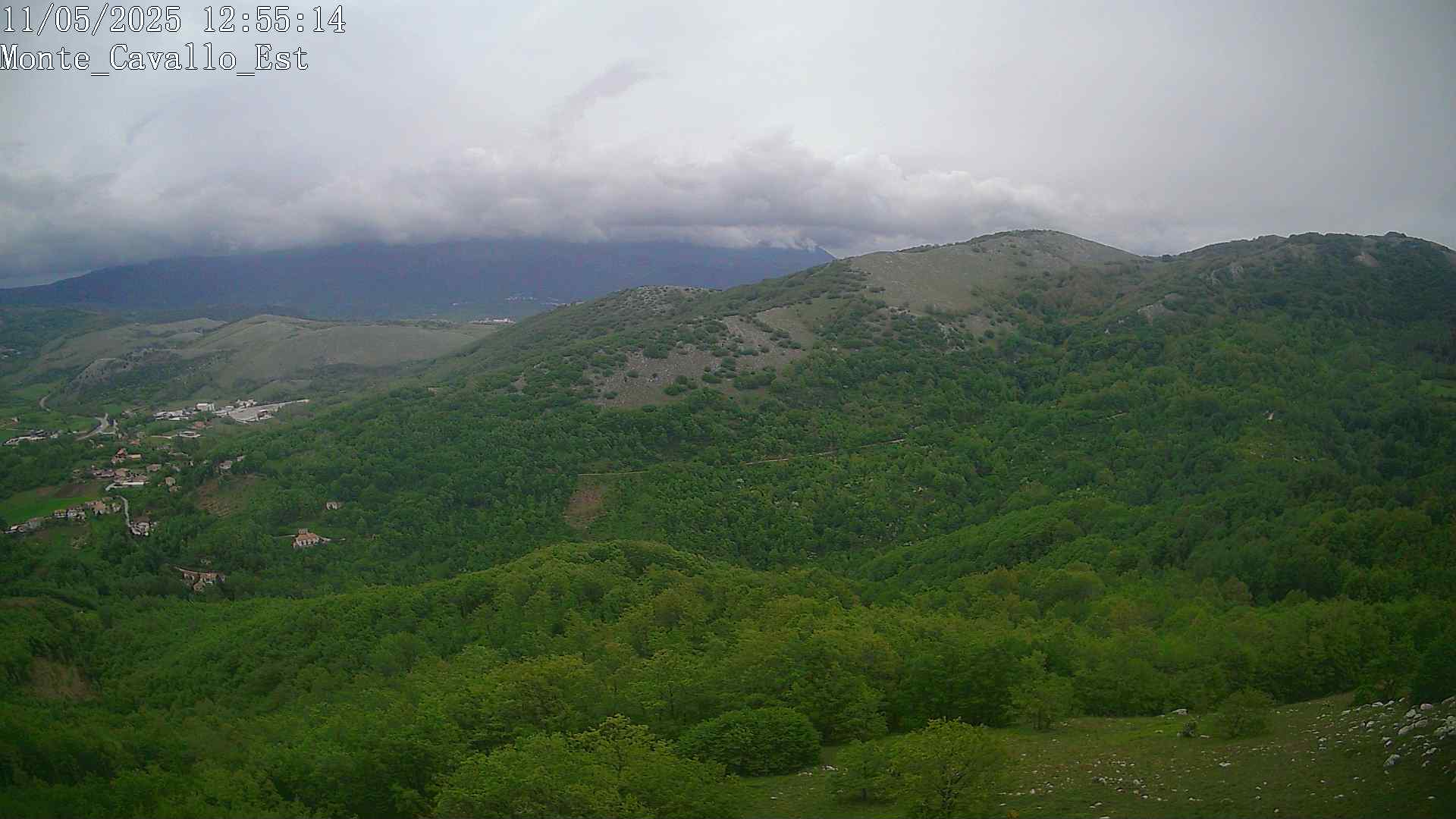 Immagine scattata il 11/05/2025 pm31 12:55
