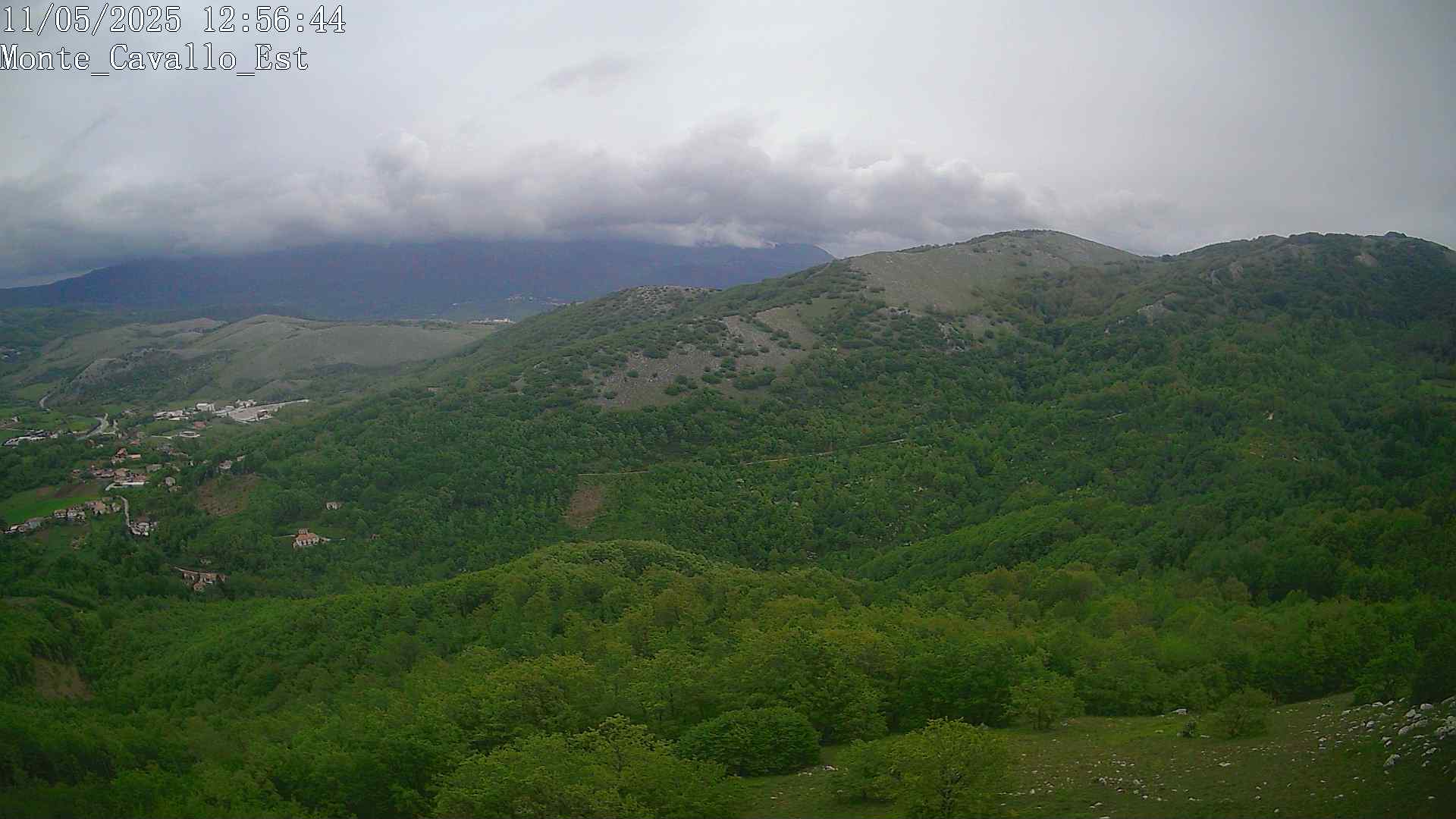 Immagine scattata il 11/05/2025 pm31 12:56