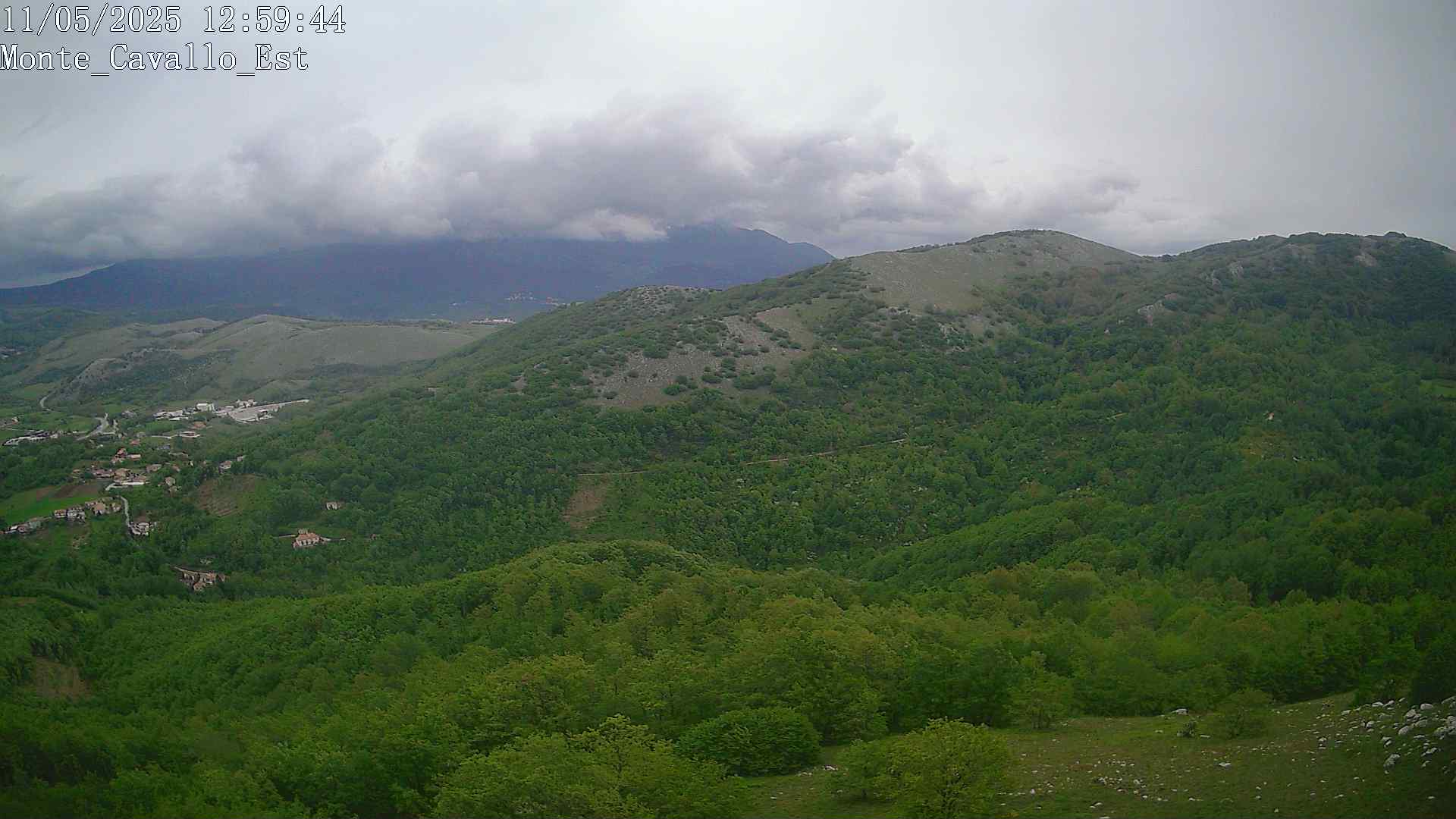 Immagine scattata il 11/05/2025 pm31 12:59