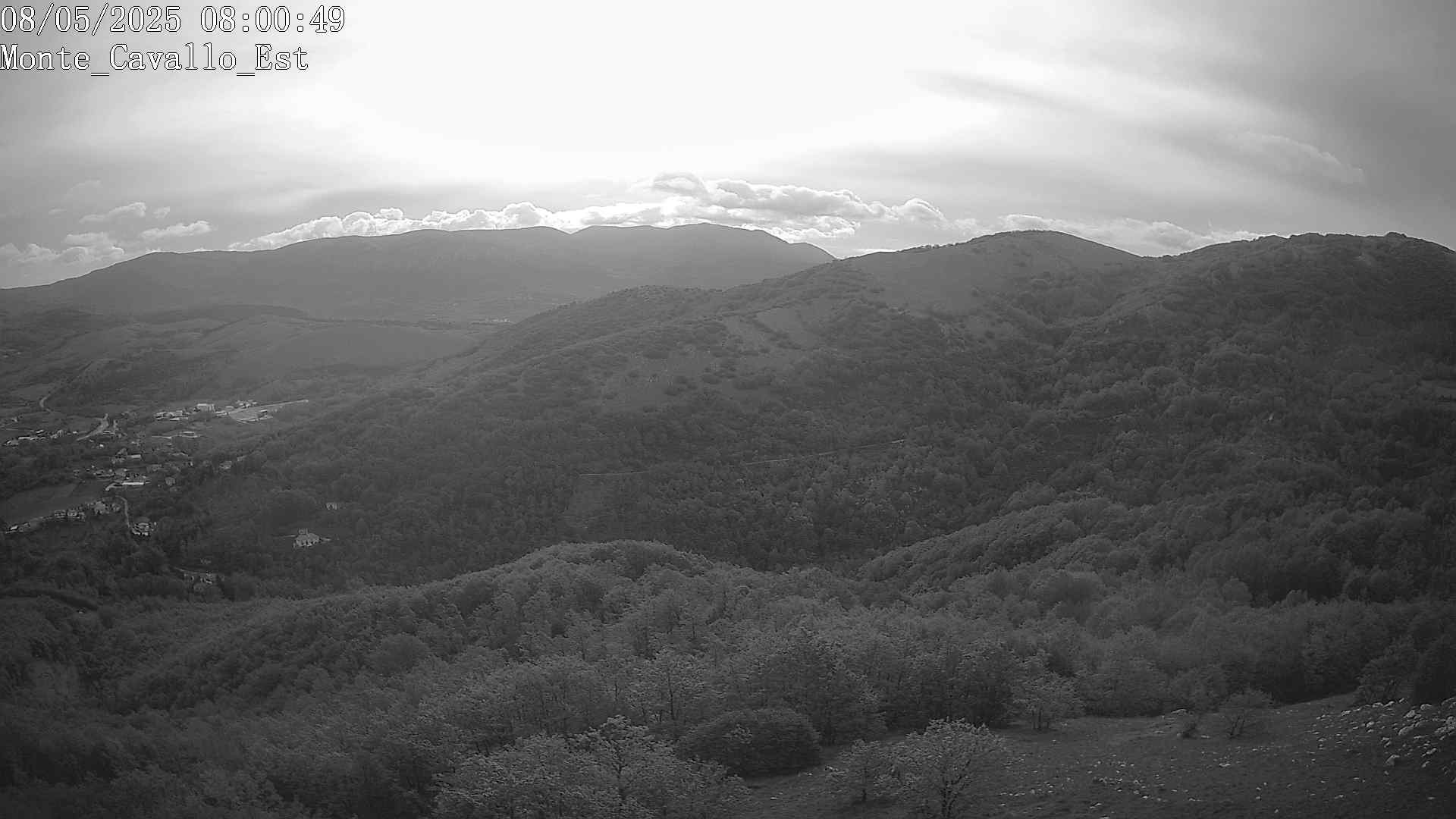 Immagine scattata il 08/05/2025 am31 08:00