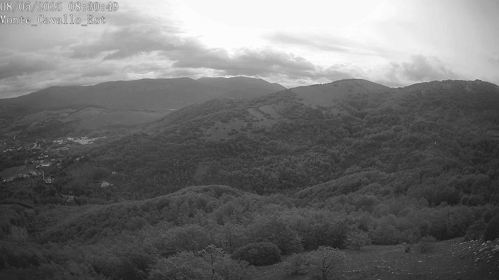 Immagine scattata il 08/05/2025 am31 08:30