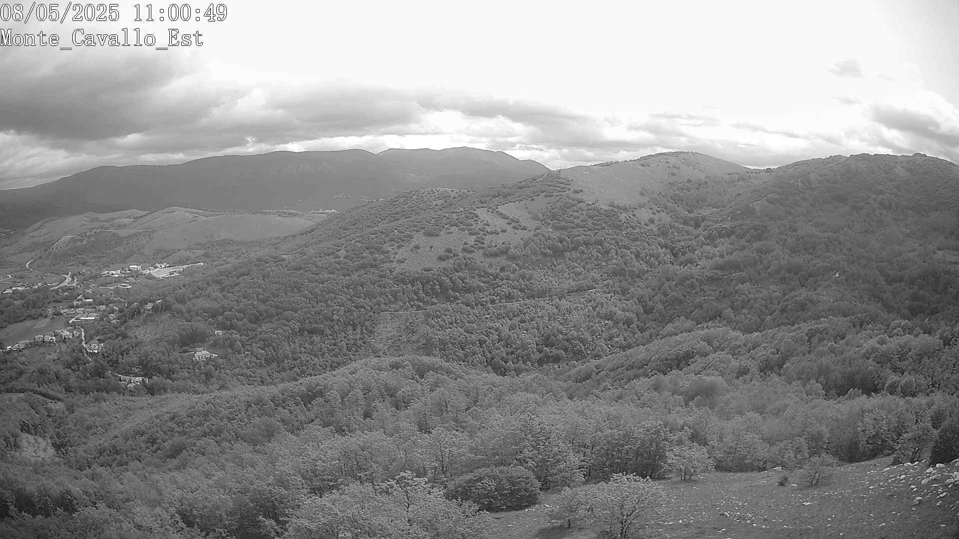 Immagine scattata il 08/05/2025 am31 11:00