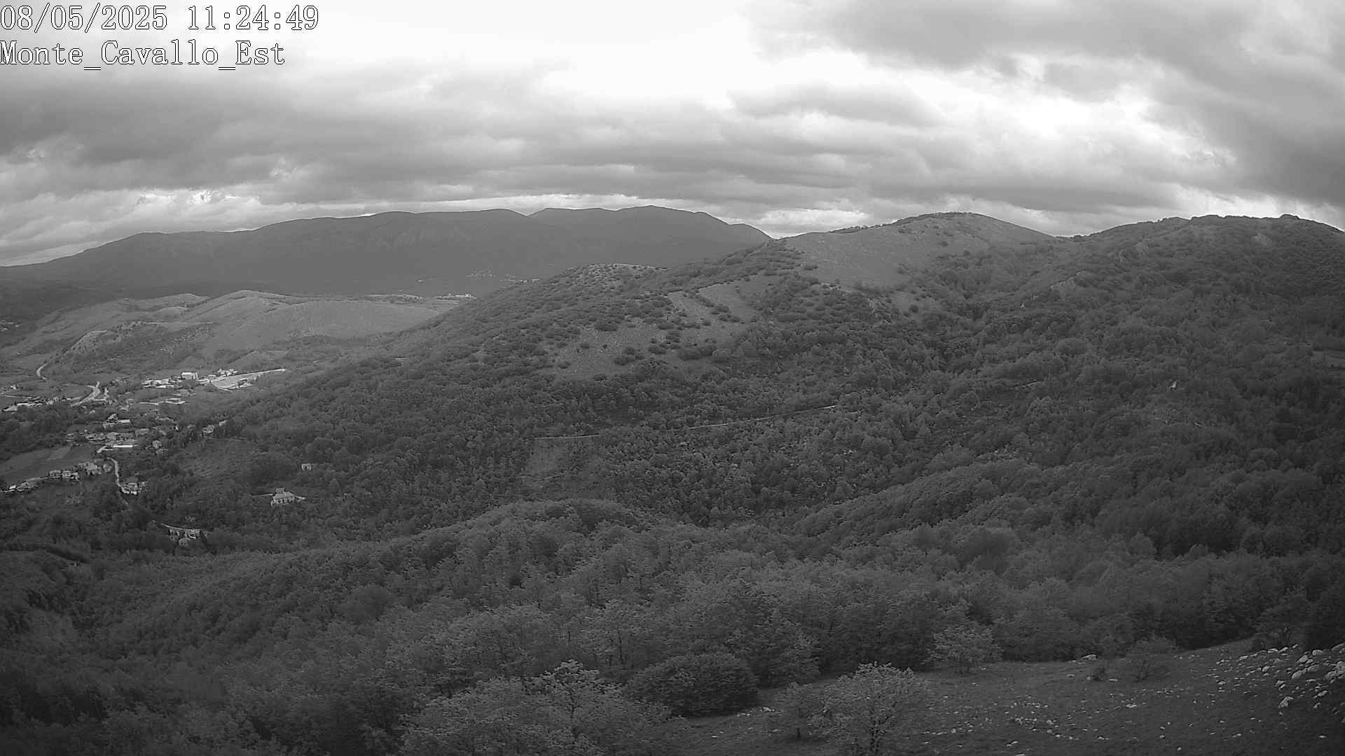 Immagine scattata il 08/05/2025 am31 11:24