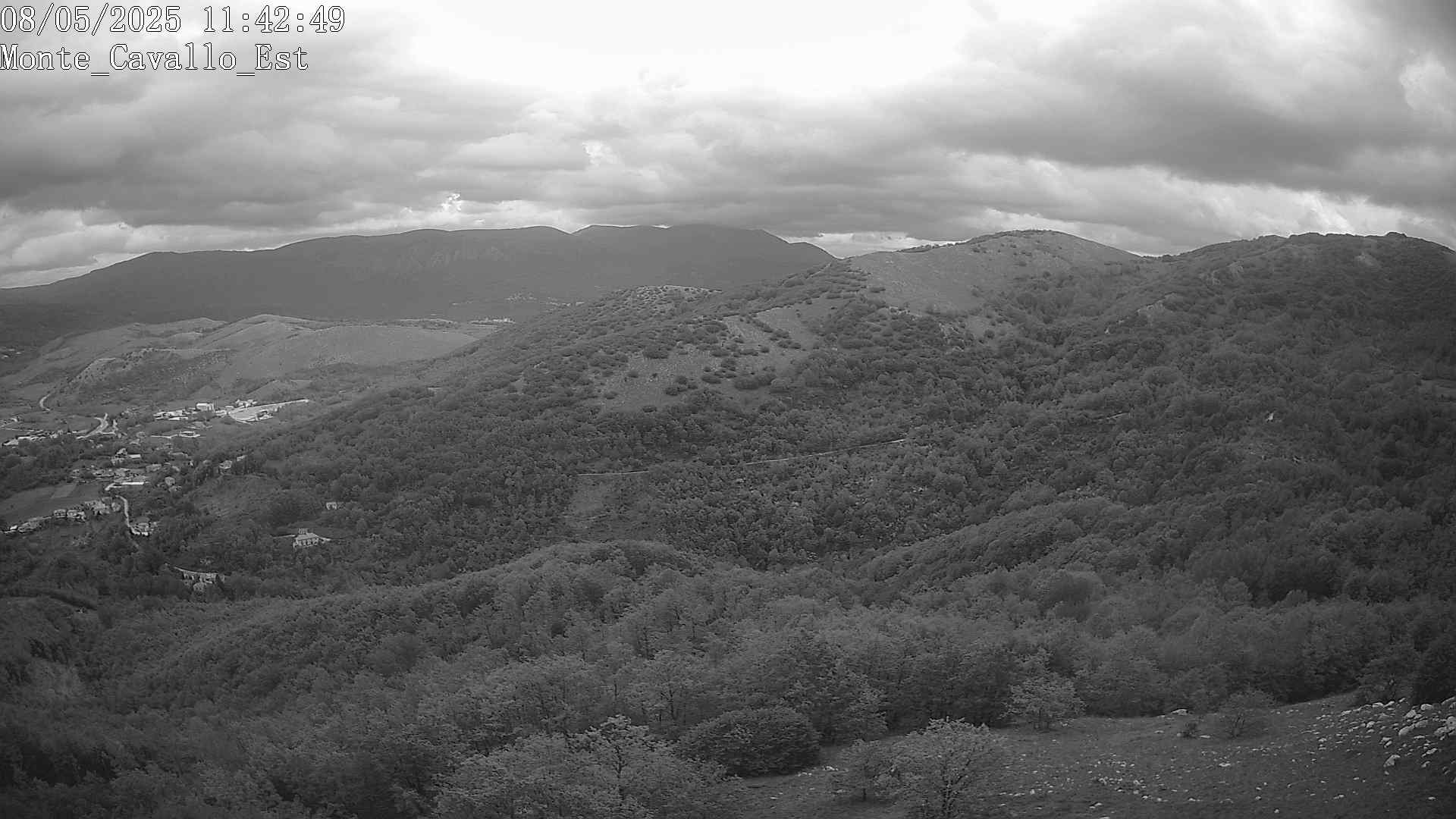 Immagine scattata il 08/05/2025 am31 11:42
