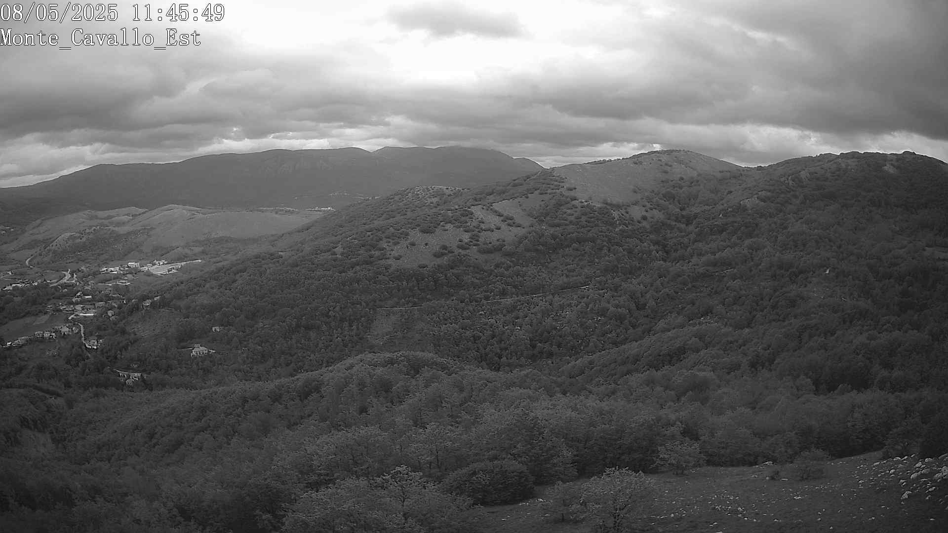 Immagine scattata il 08/05/2025 am31 11:45