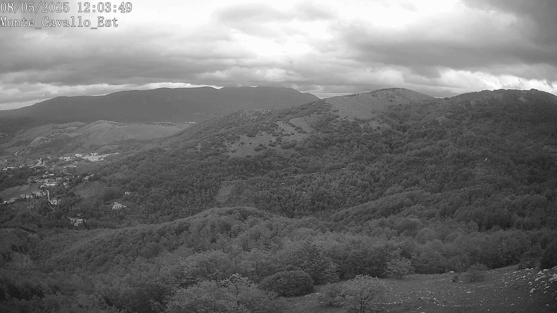 Immagine scattata il 08/05/2025 pm31 12:03