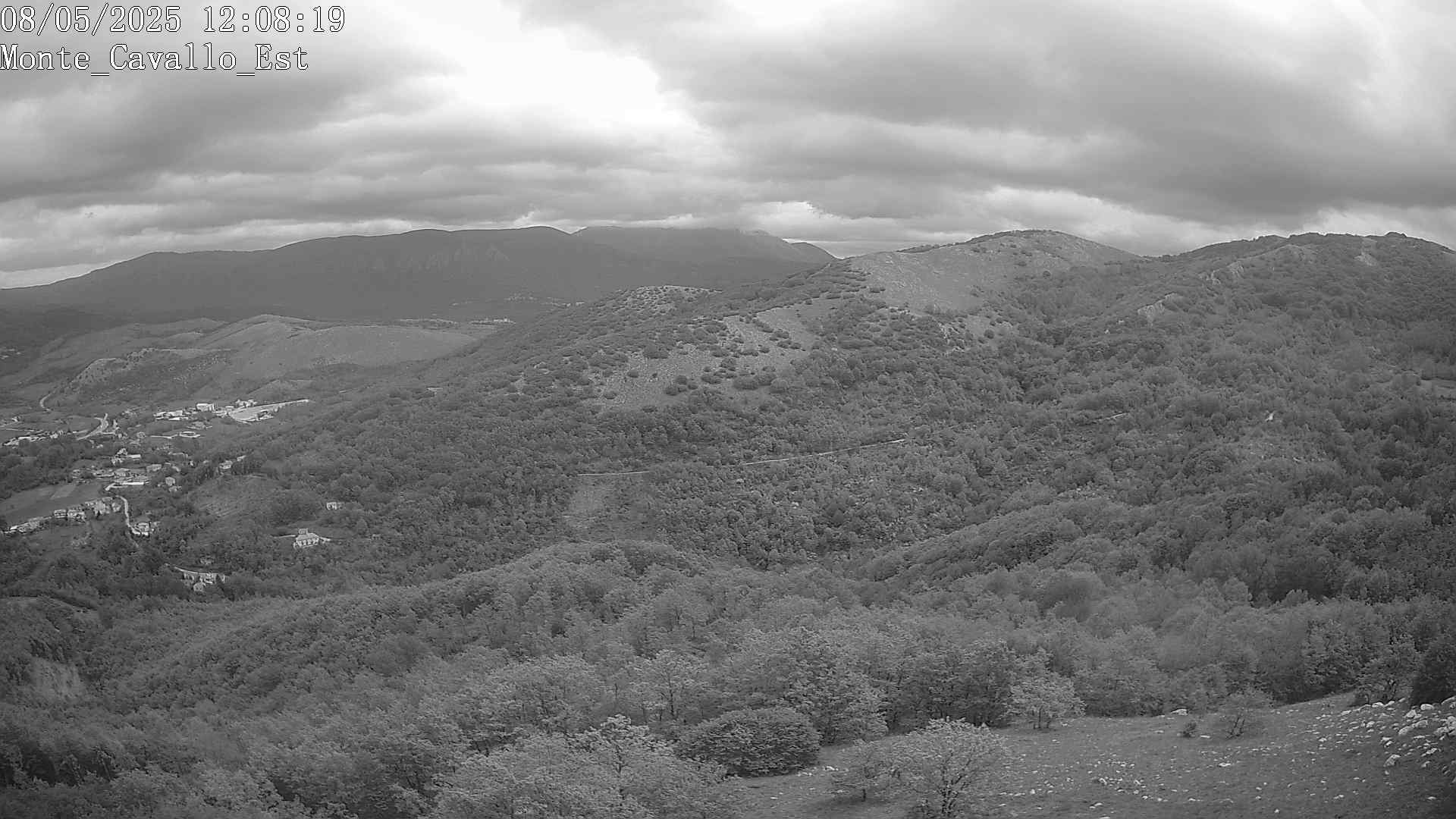 Immagine scattata il 08/05/2025 pm31 12:08