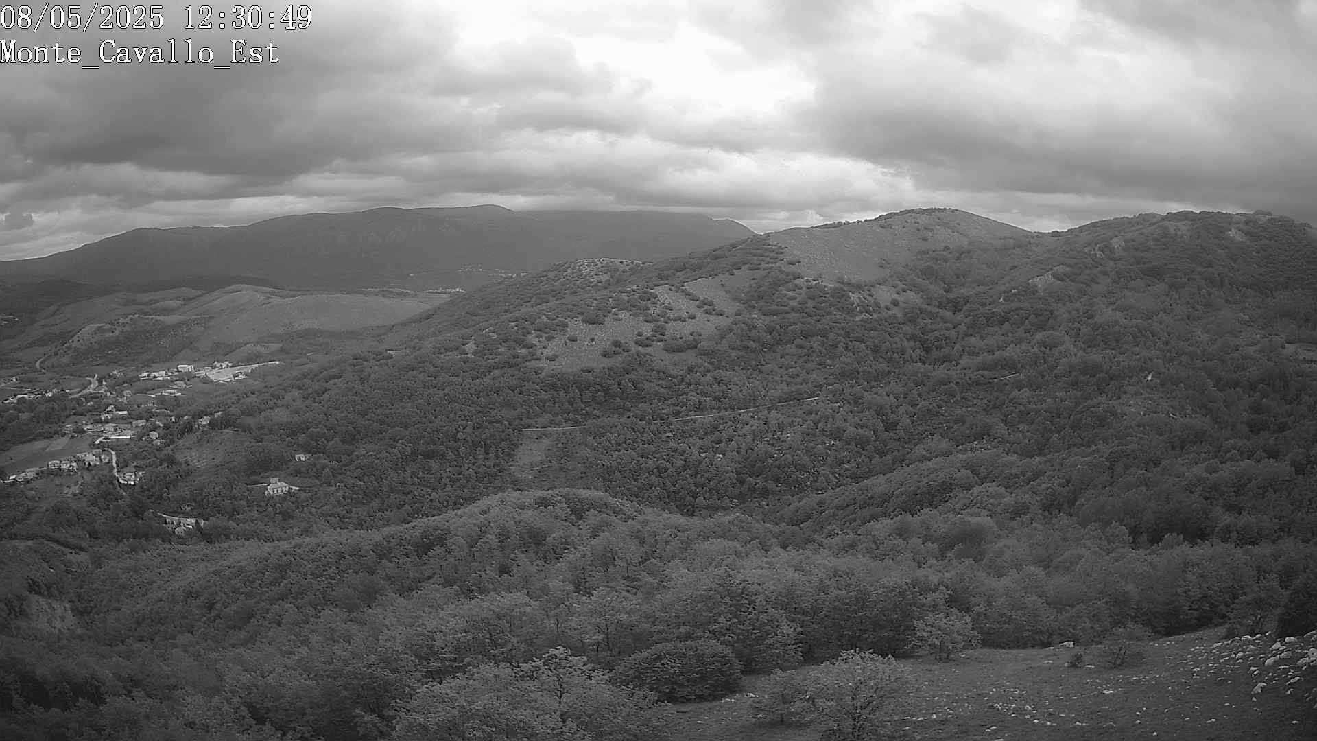 Immagine scattata il 08/05/2025 pm31 12:30