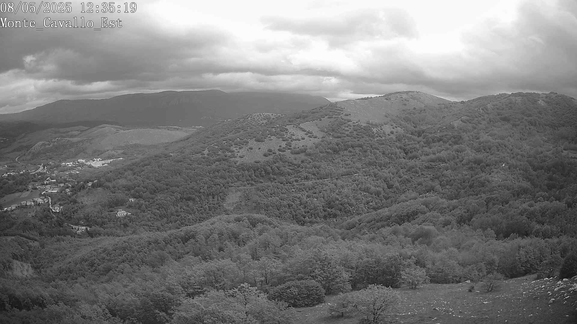 Immagine scattata il 08/05/2025 pm31 12:35