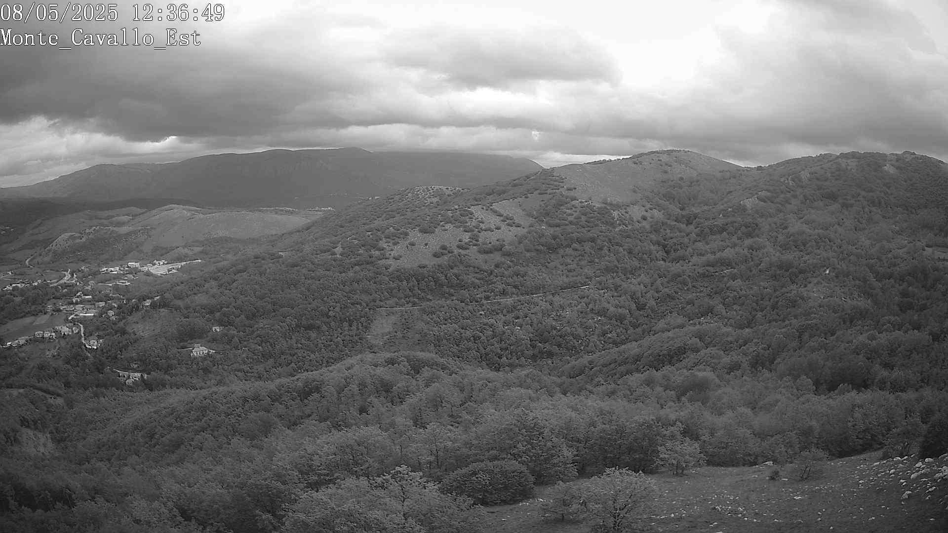 Immagine scattata il 08/05/2025 pm31 12:36