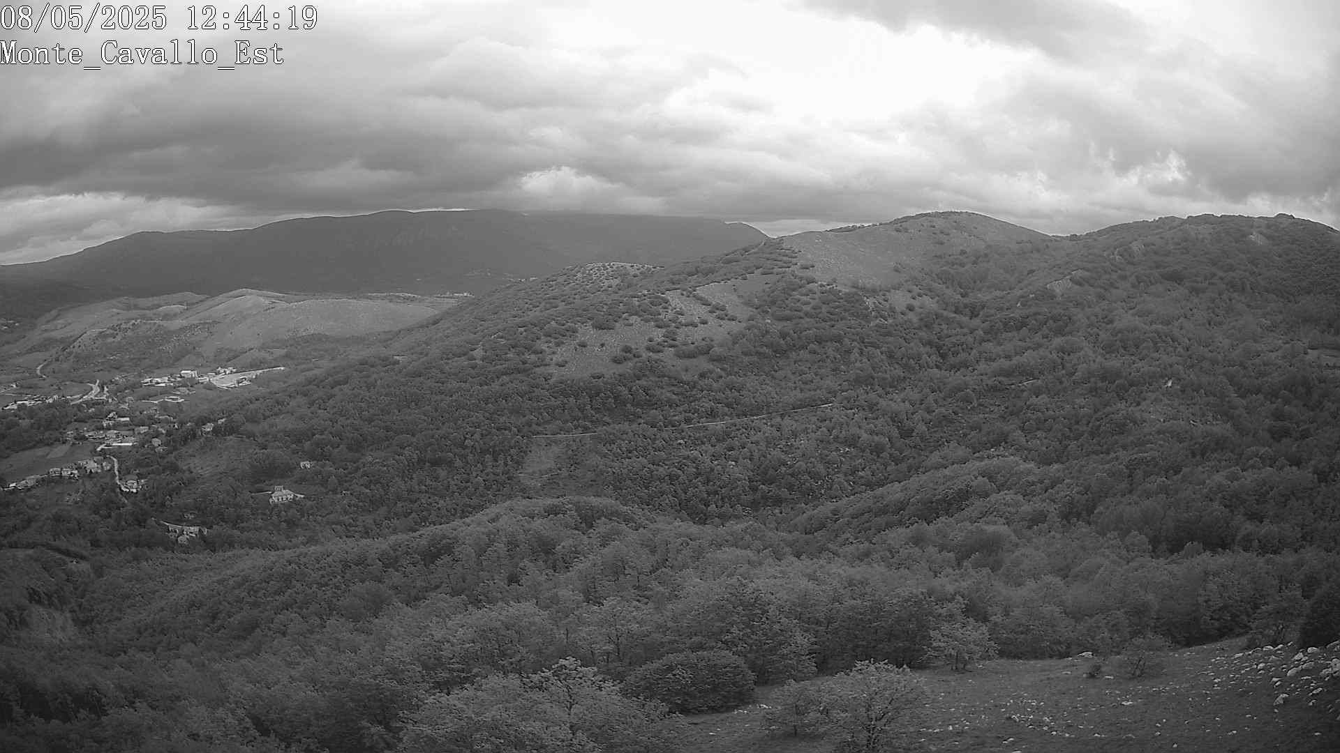 Immagine scattata il 08/05/2025 pm31 12:44