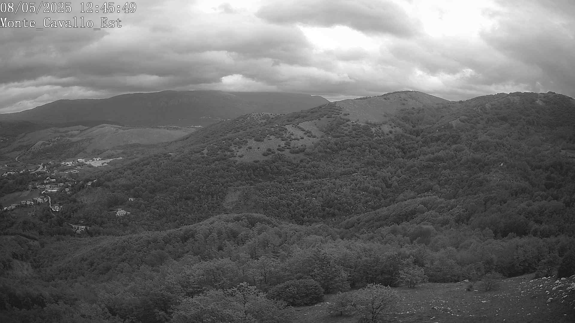 Immagine scattata il 08/05/2025 pm31 12:45