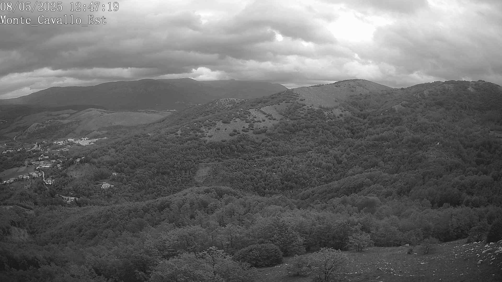 Immagine scattata il 08/05/2025 pm31 12:47