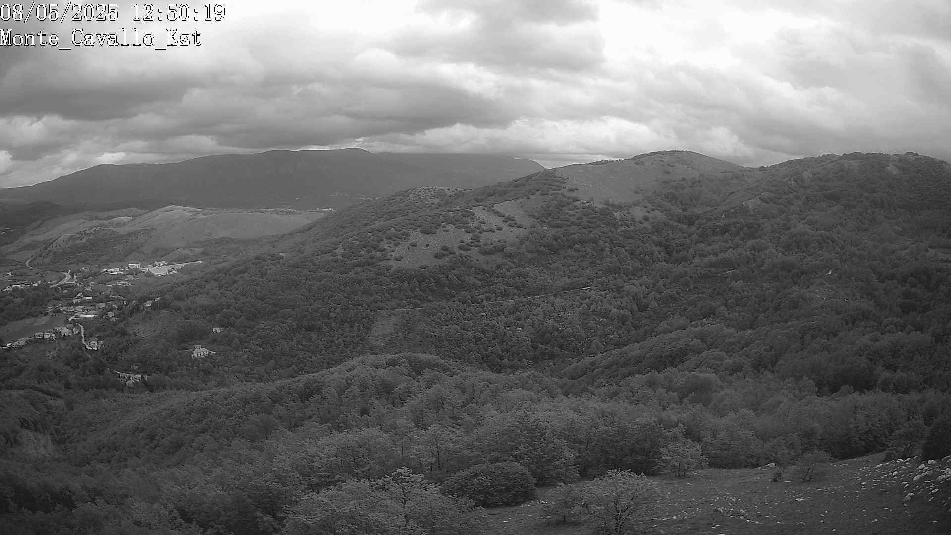 Immagine scattata il 08/05/2025 pm31 12:50