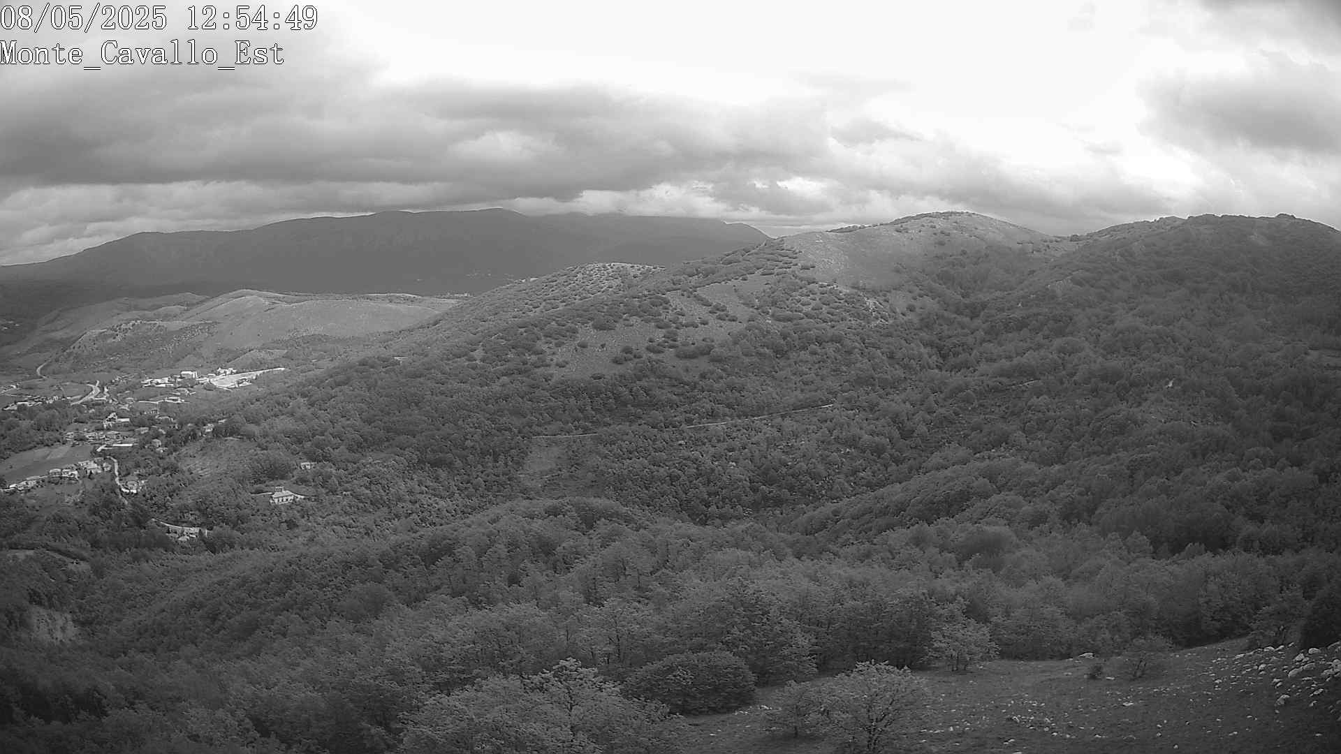 Immagine scattata il 08/05/2025 pm31 12:54